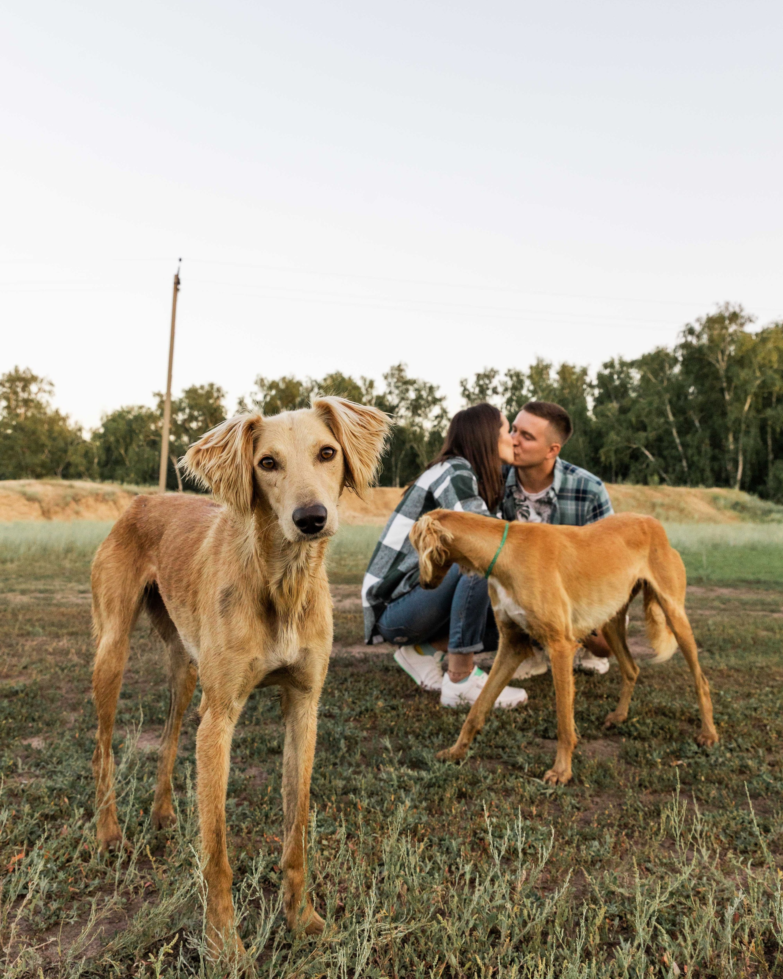 Евгений и Ольга