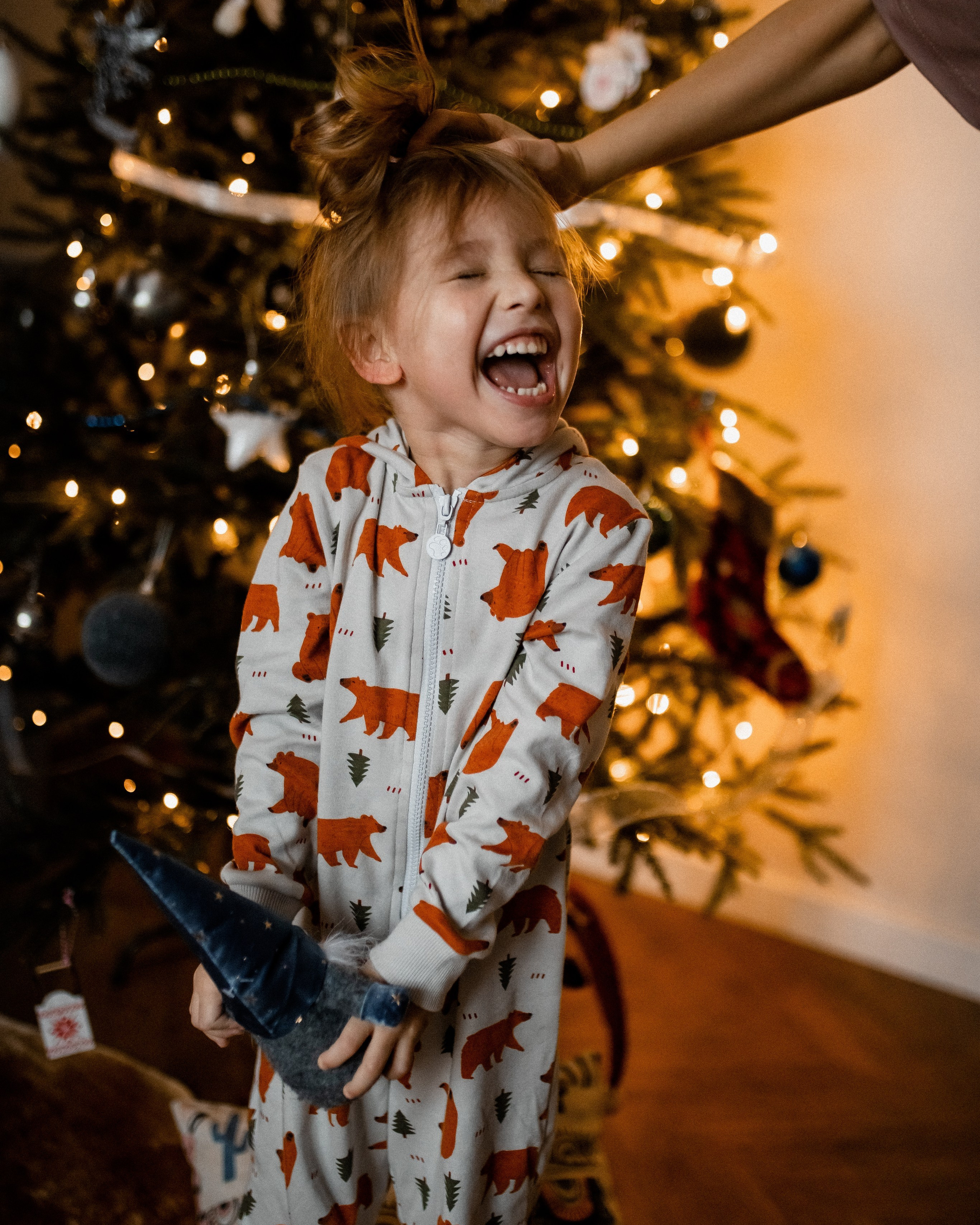 Новогодние печенье