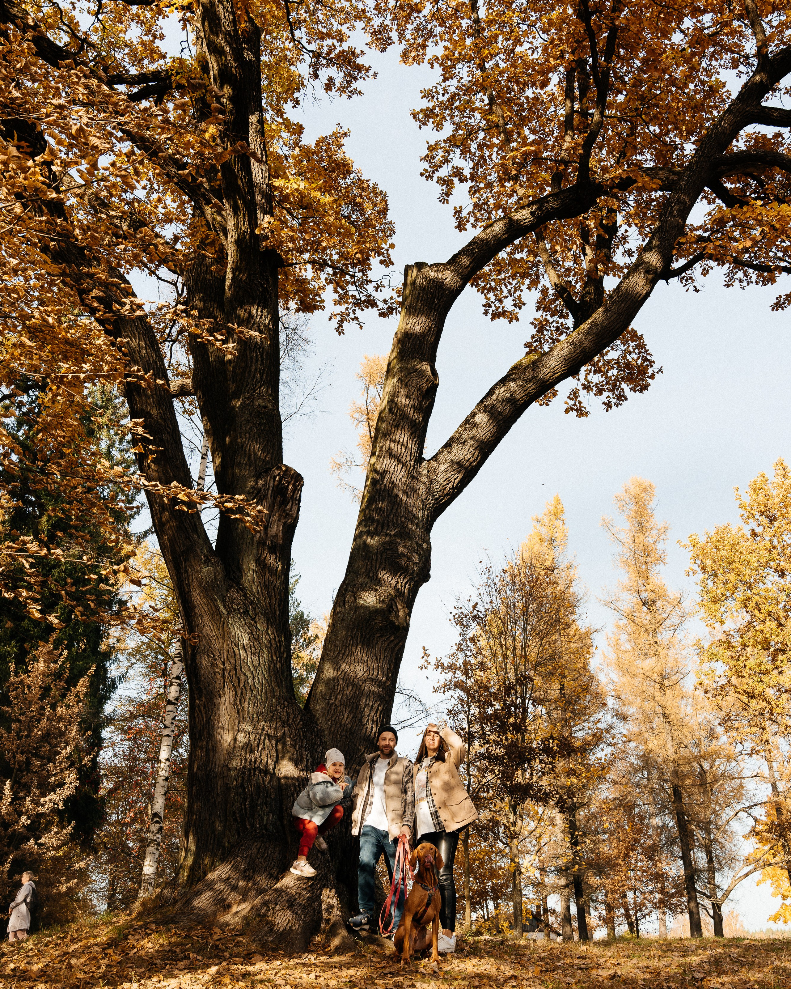 Особенная осень