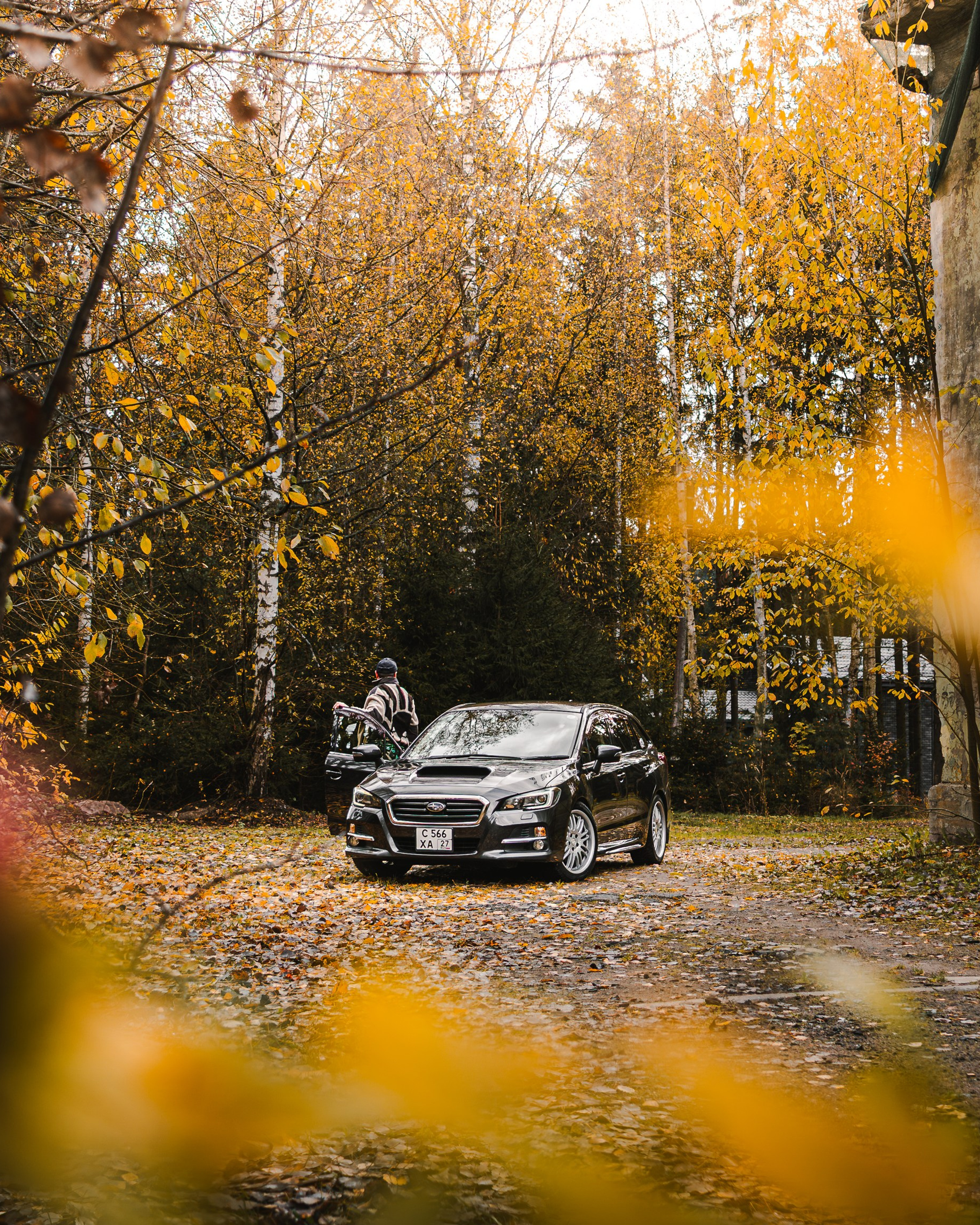 Ford в&nbsp;листве