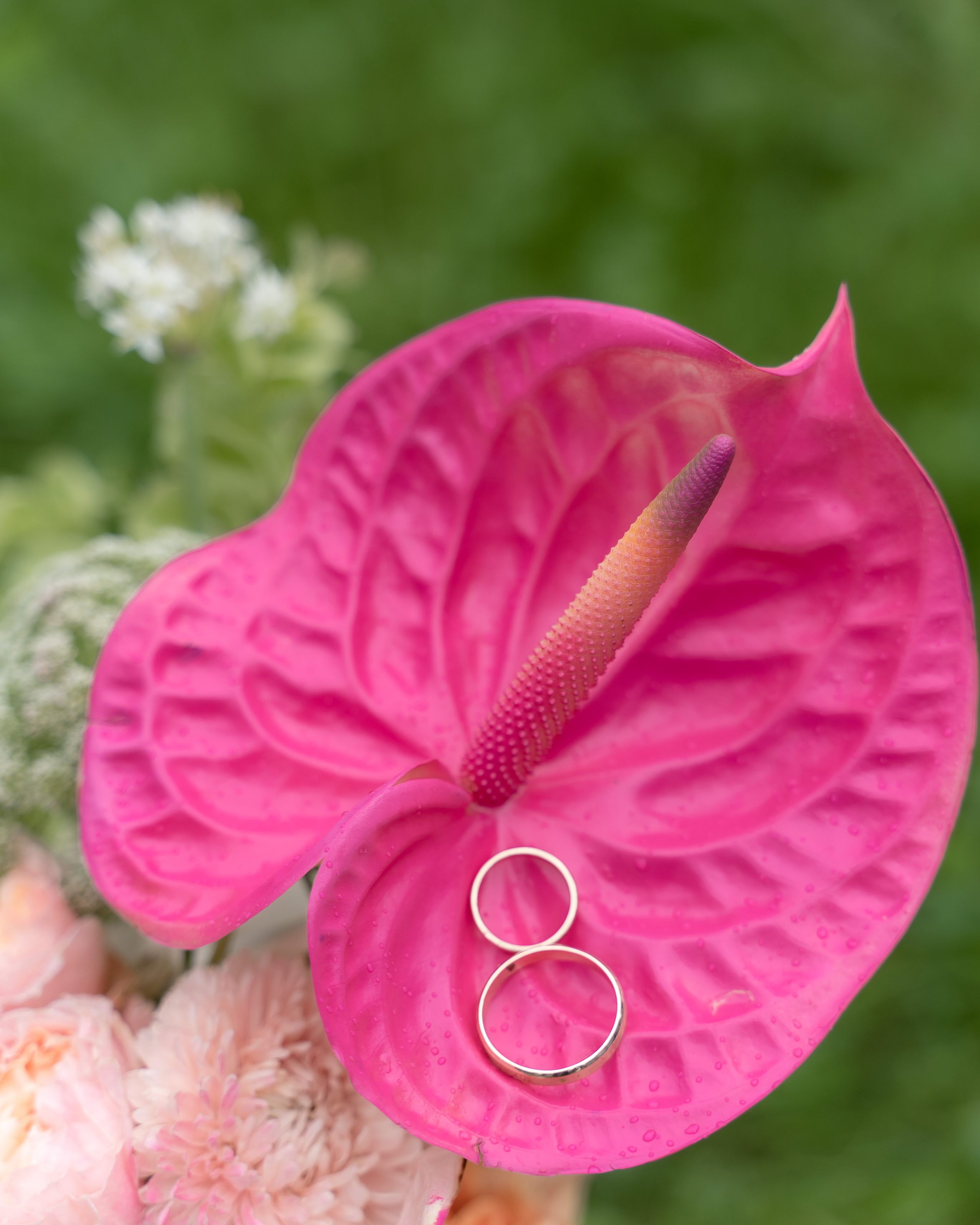 Максим и Лика