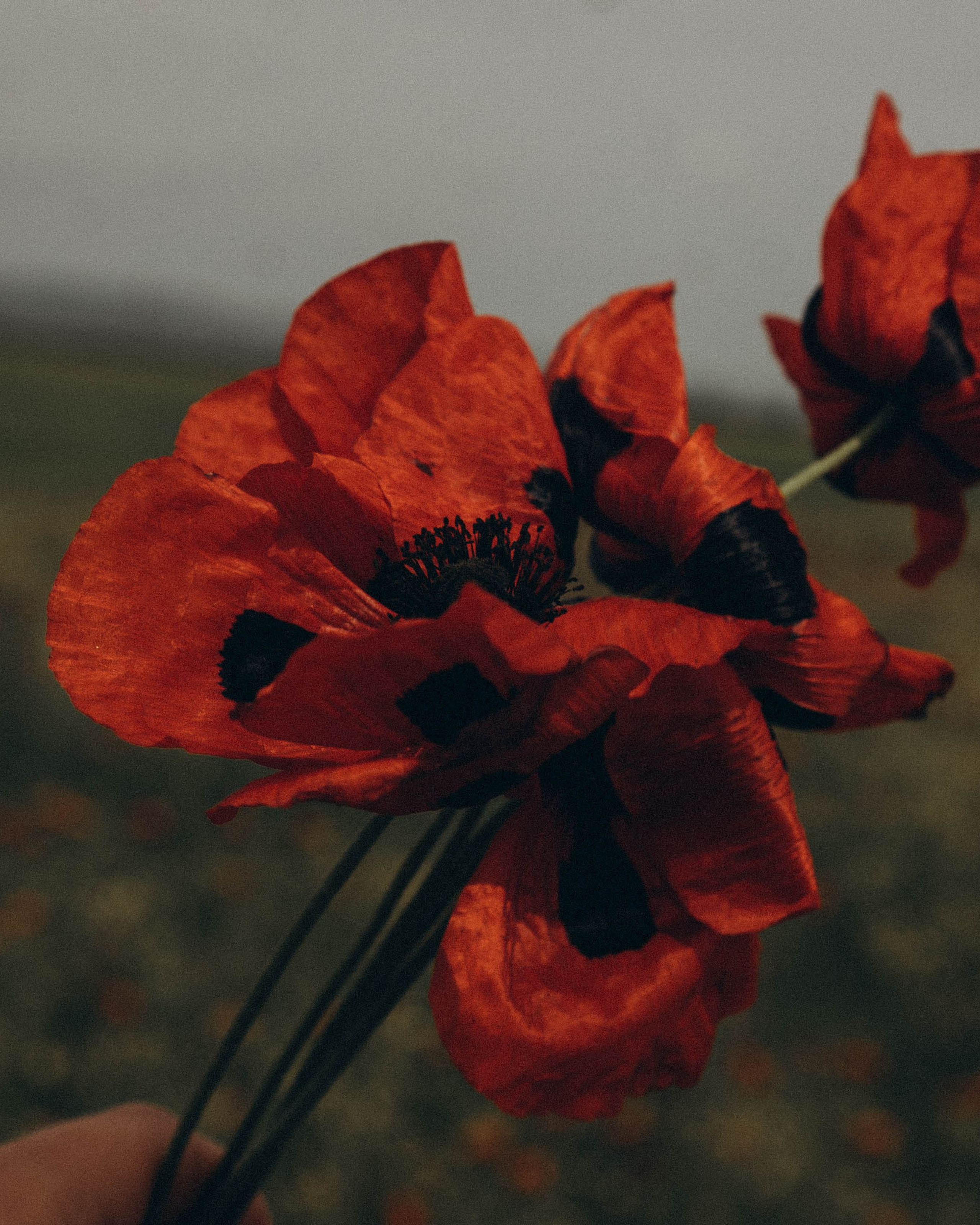 Путешествие в&nbsp;Дагестане