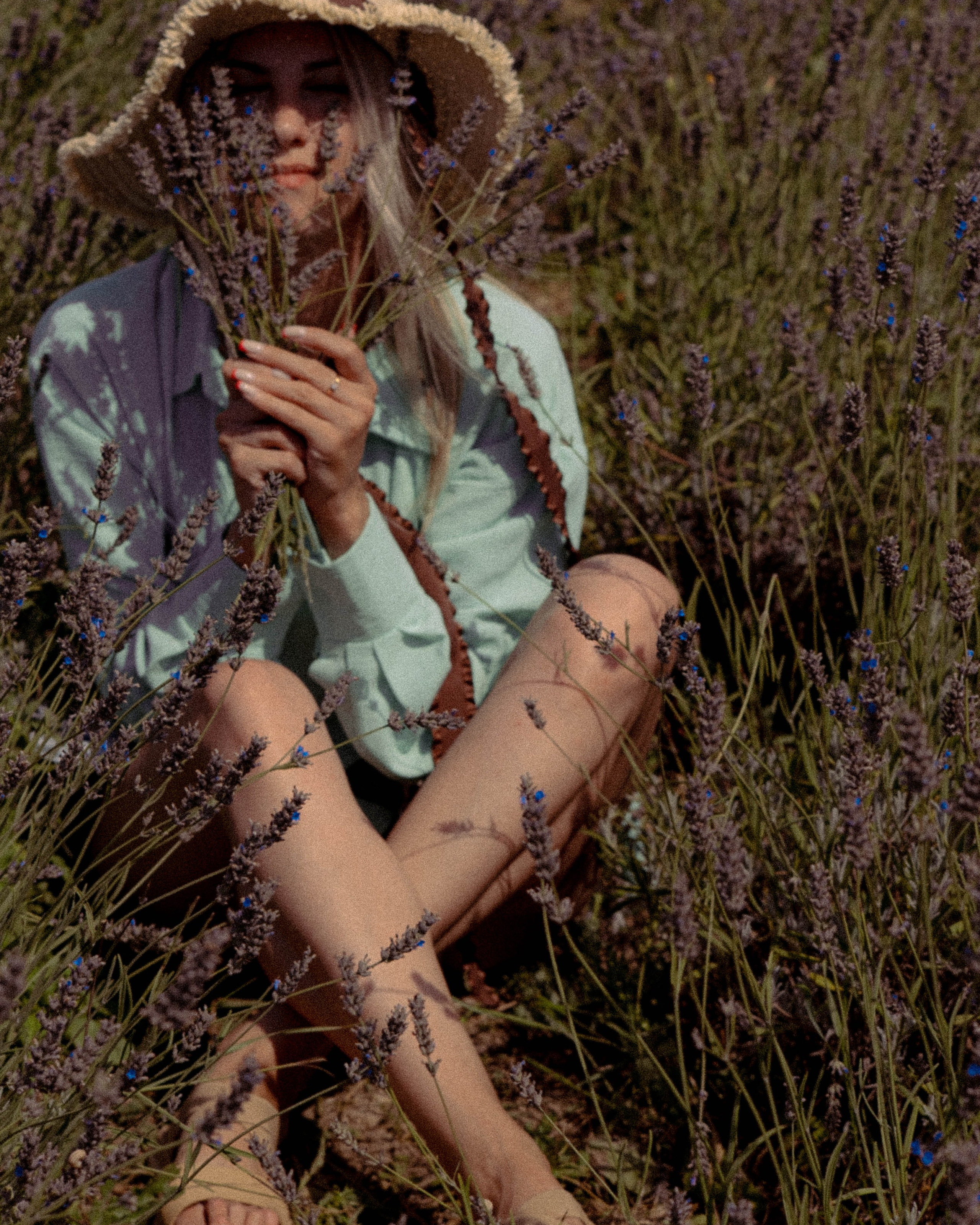 ЛАВАНВОДОВОЕ ПОЛЕ