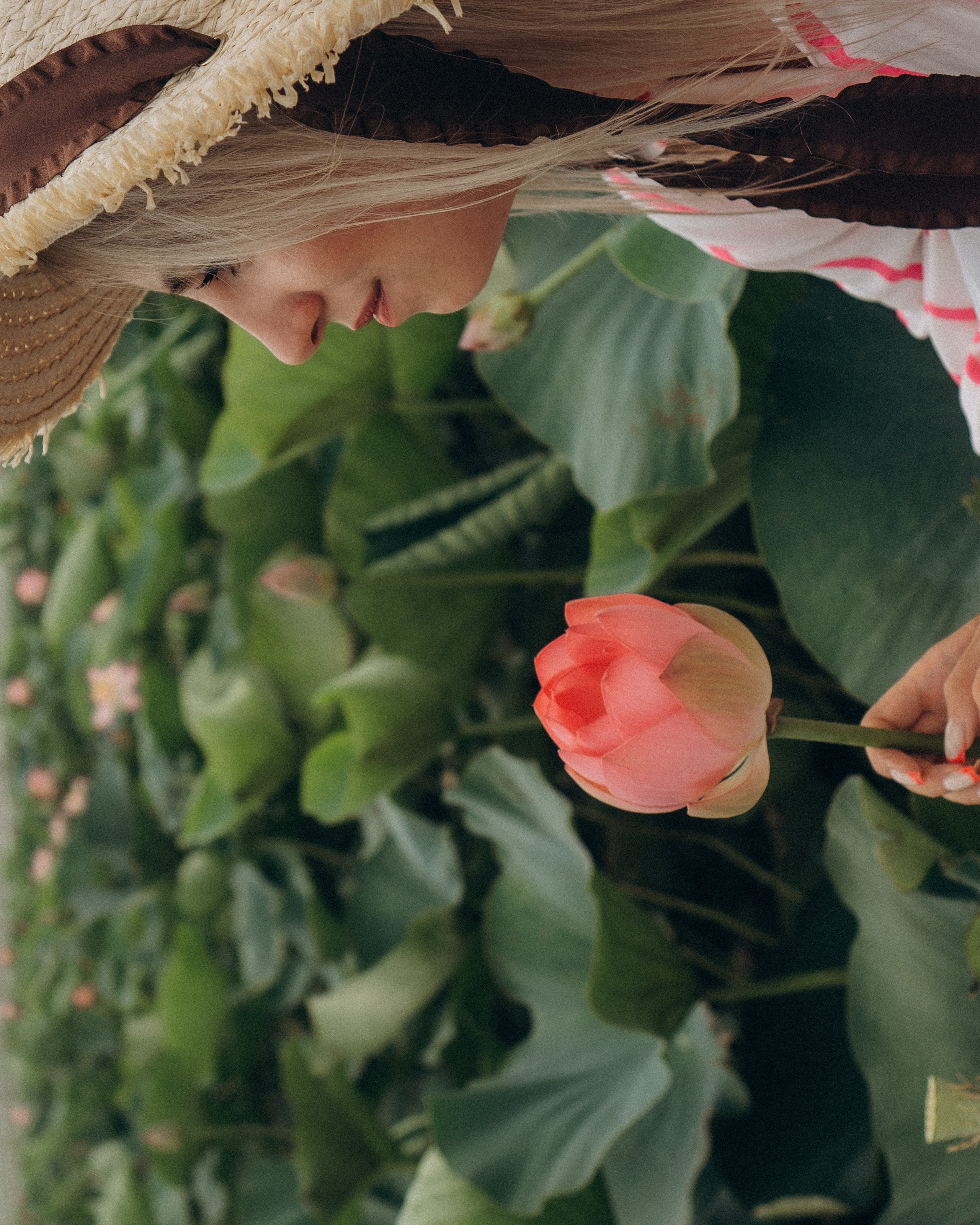 ЛОТОСОВАЯ ПОЛЯНА