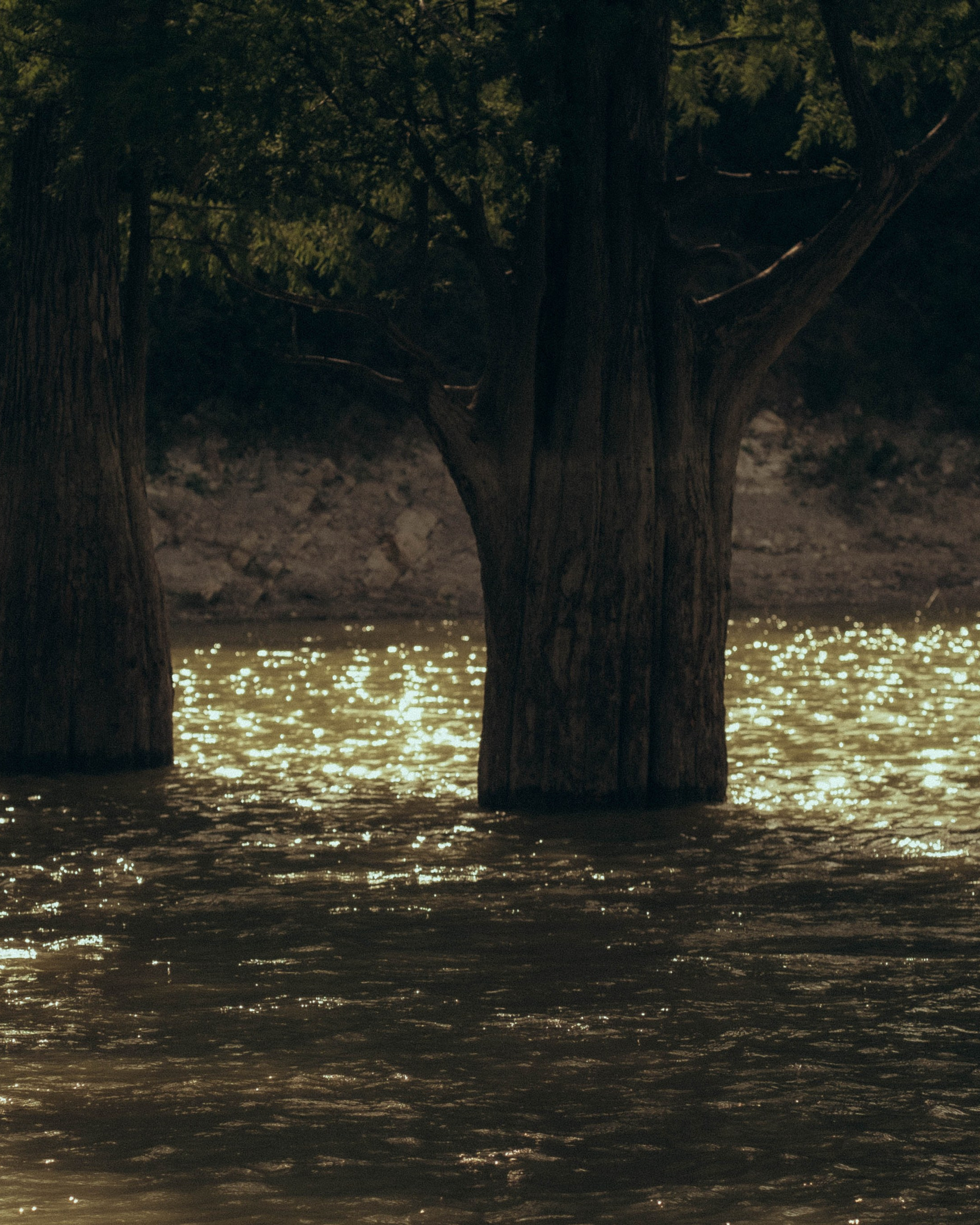 Кипарисовое озеро в&nbsp;Анапе