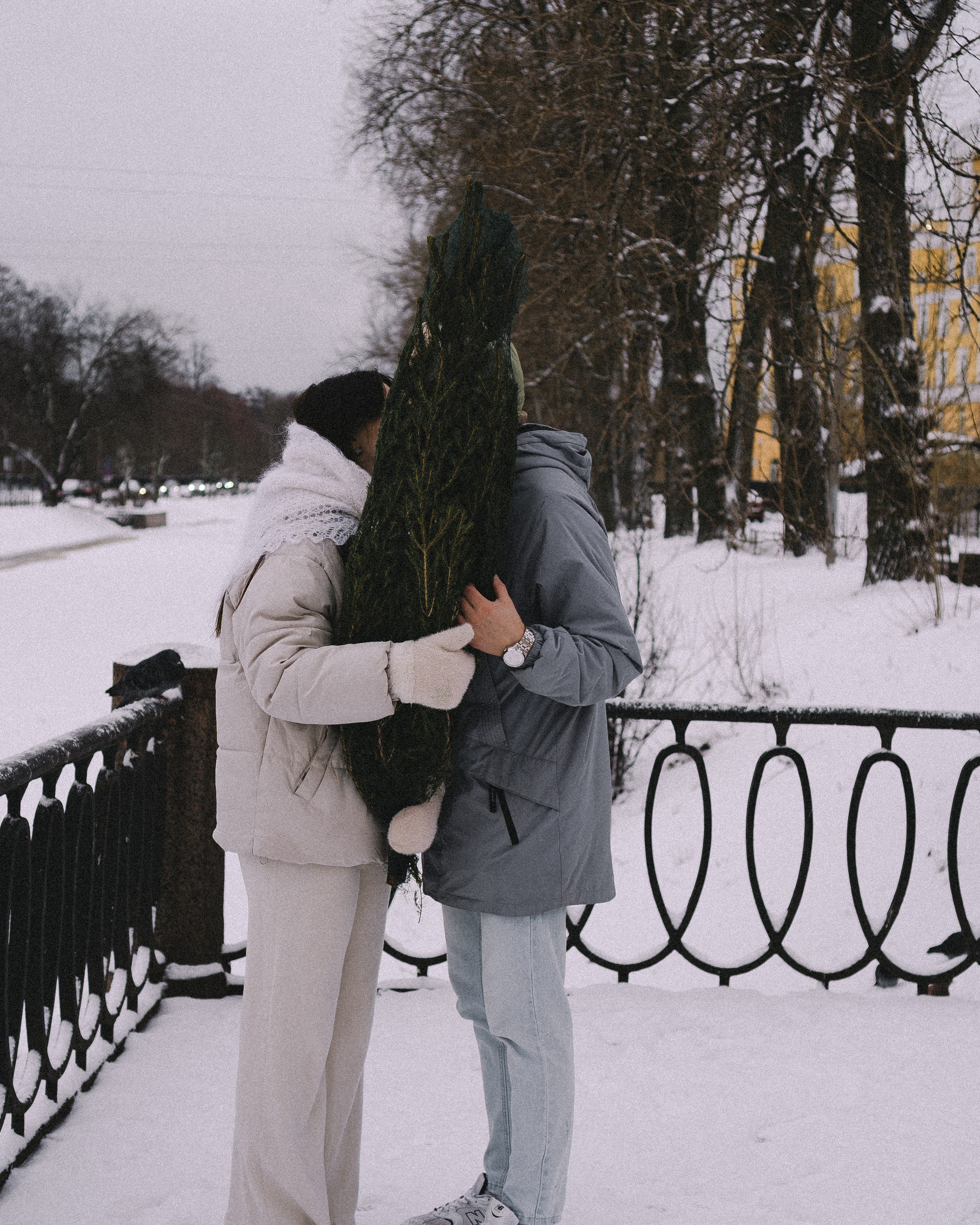 зимняя история