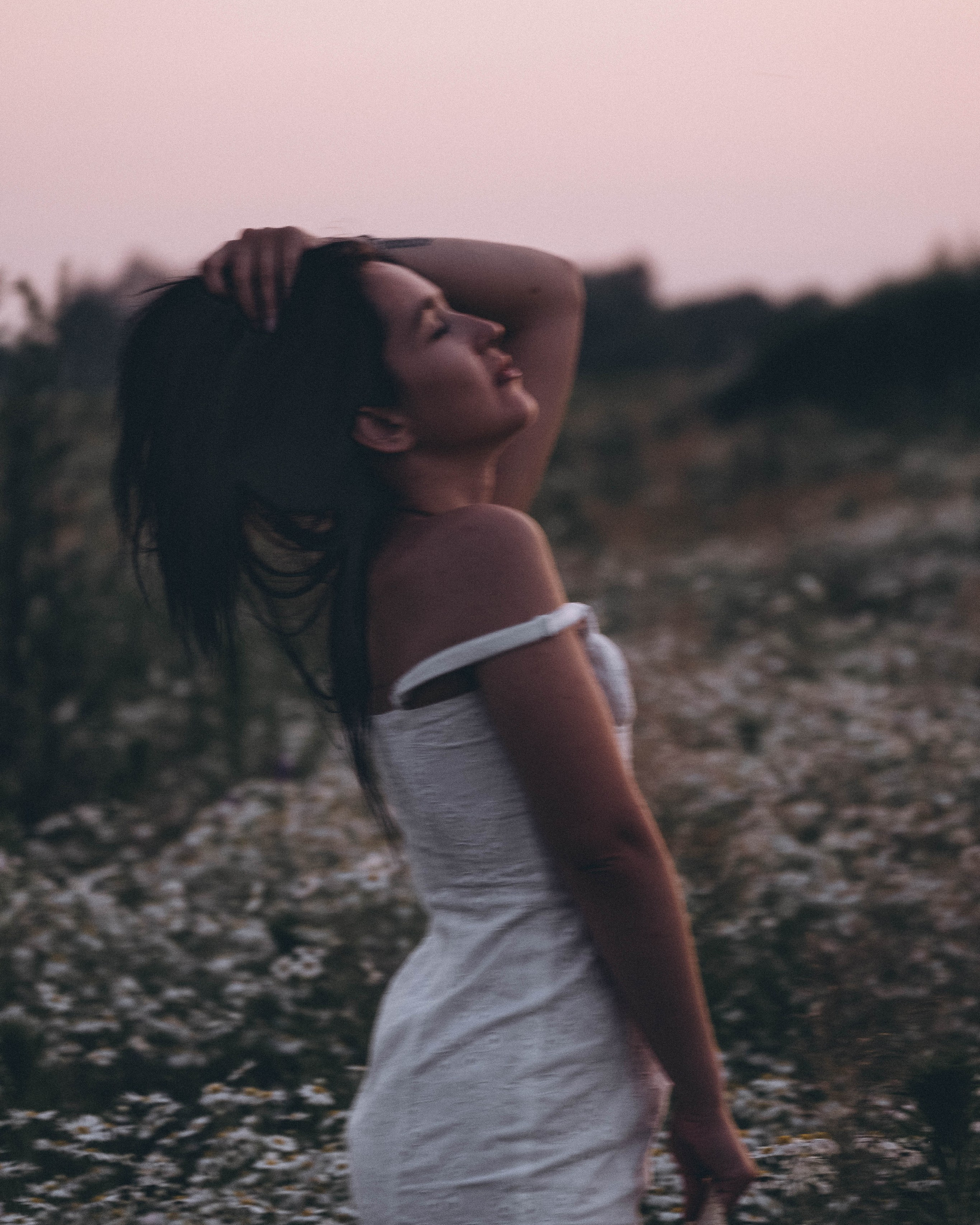 ромашковое поле