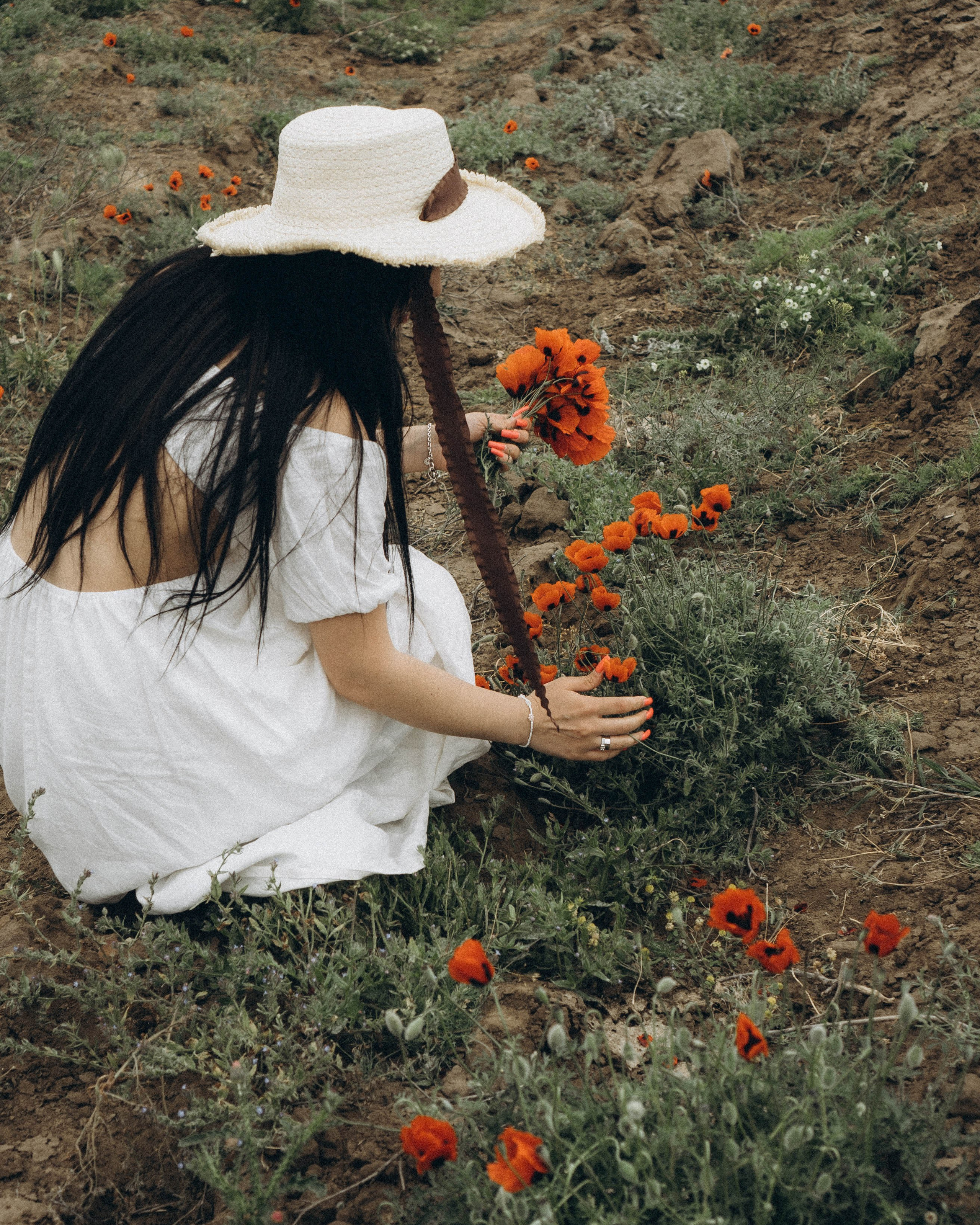 маковое поле