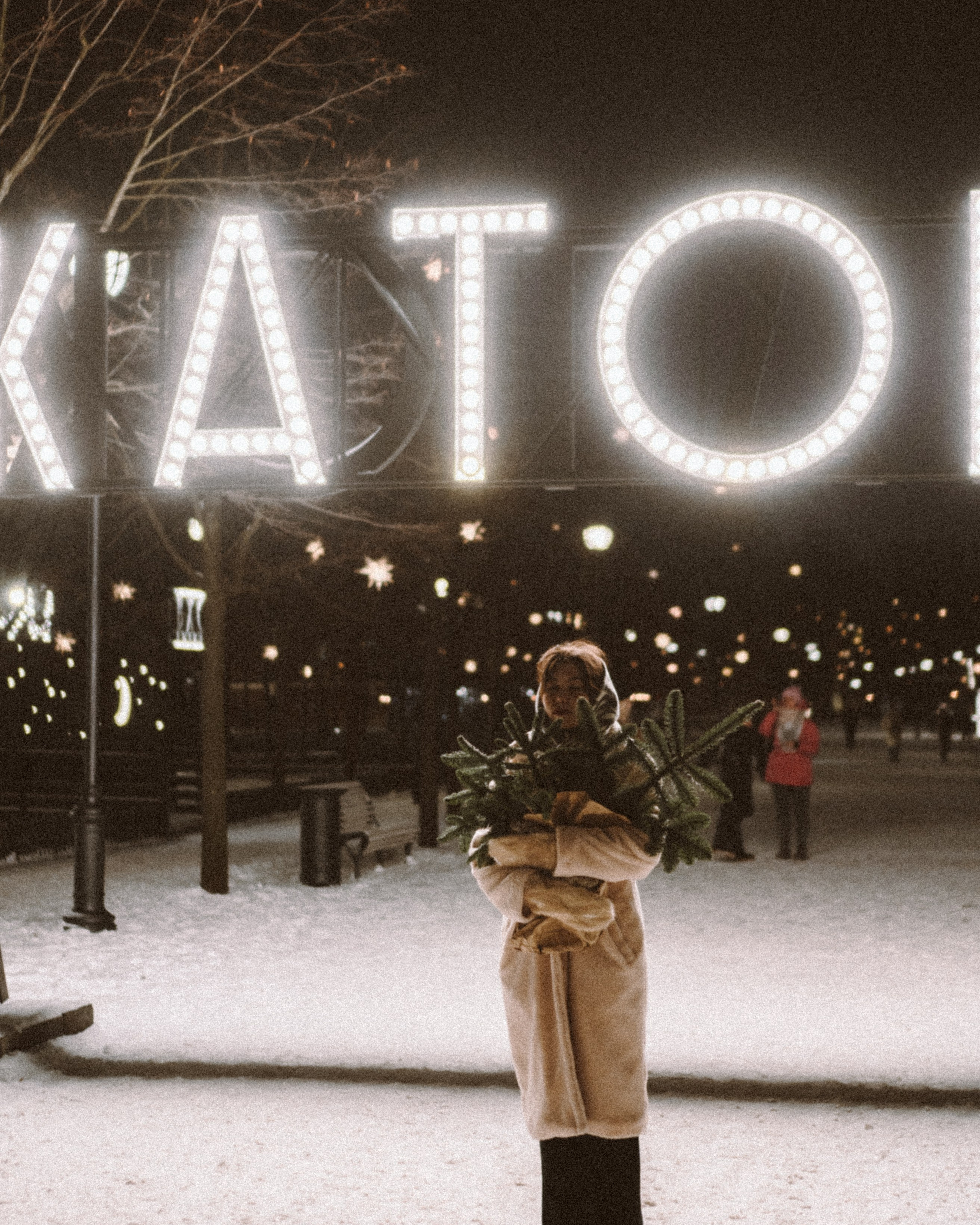 Зимняя сказка в&nbsp;Новой Голандии