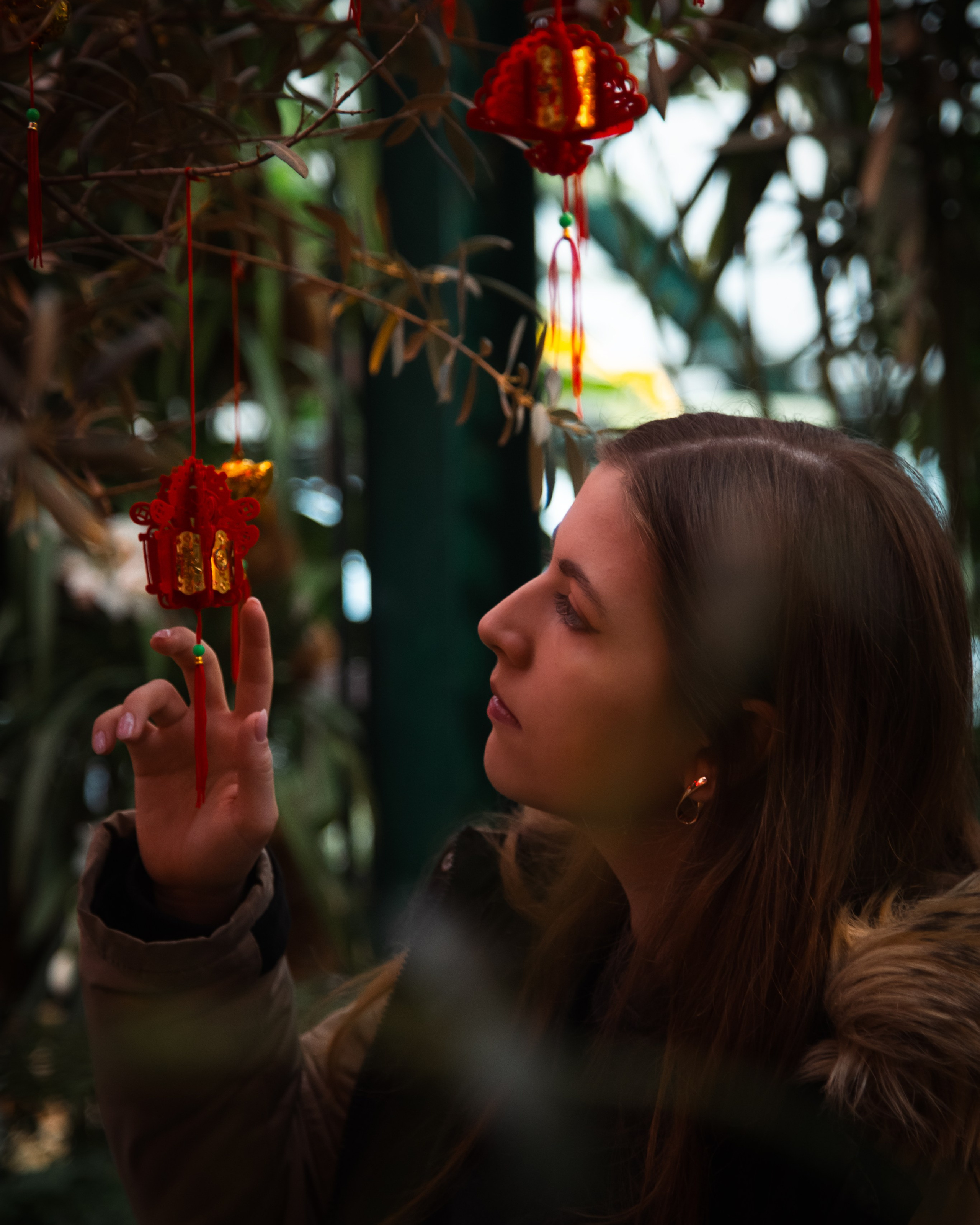 Китайский новый год 2025