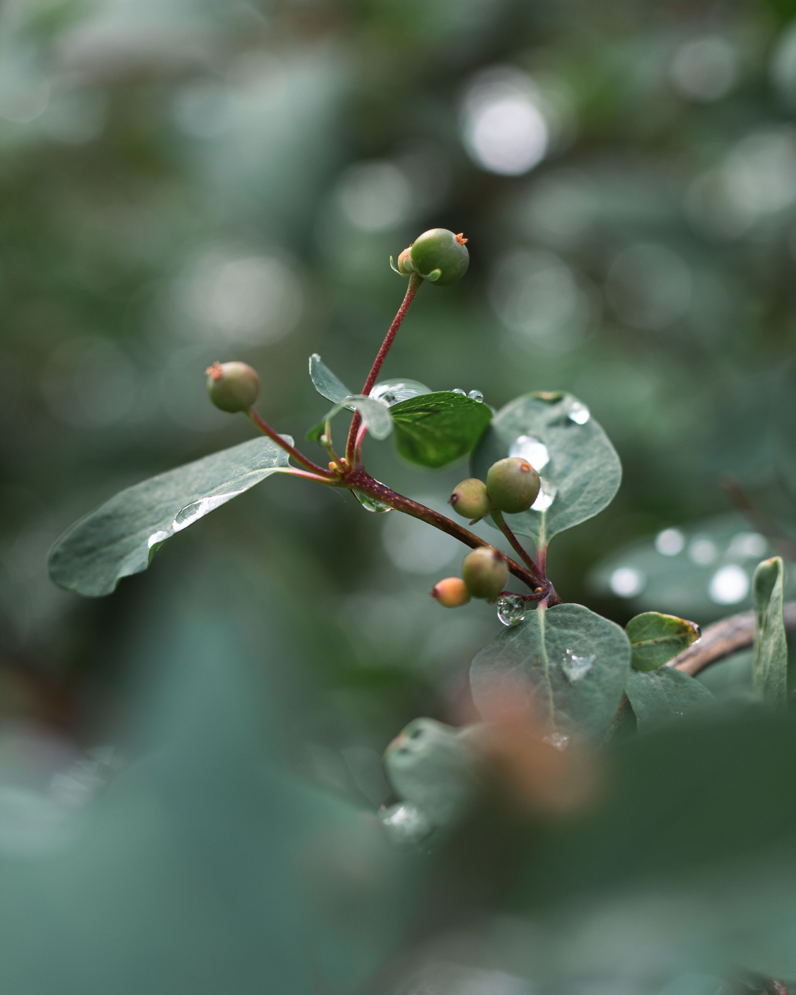 После дождя