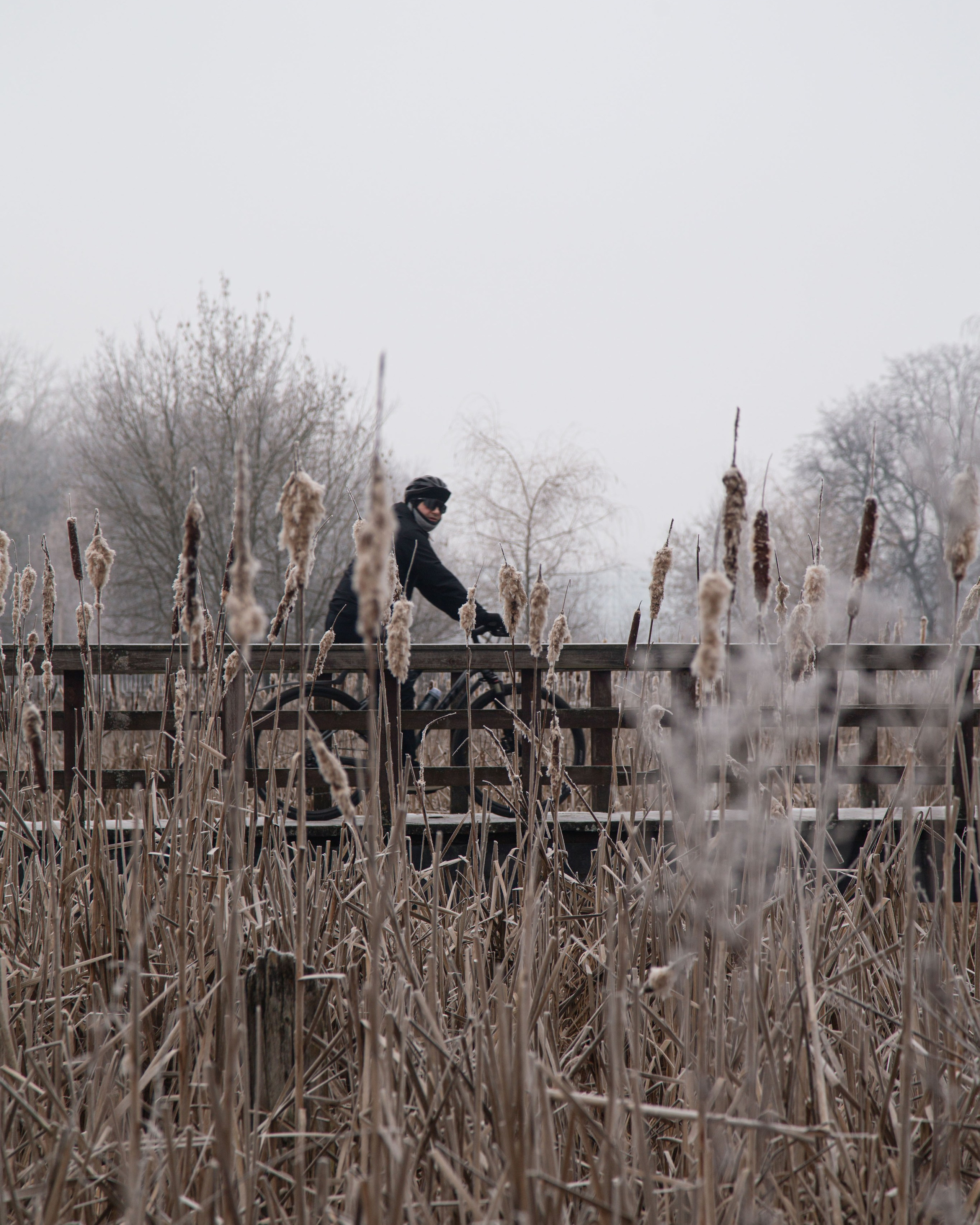 Воздух февраля
