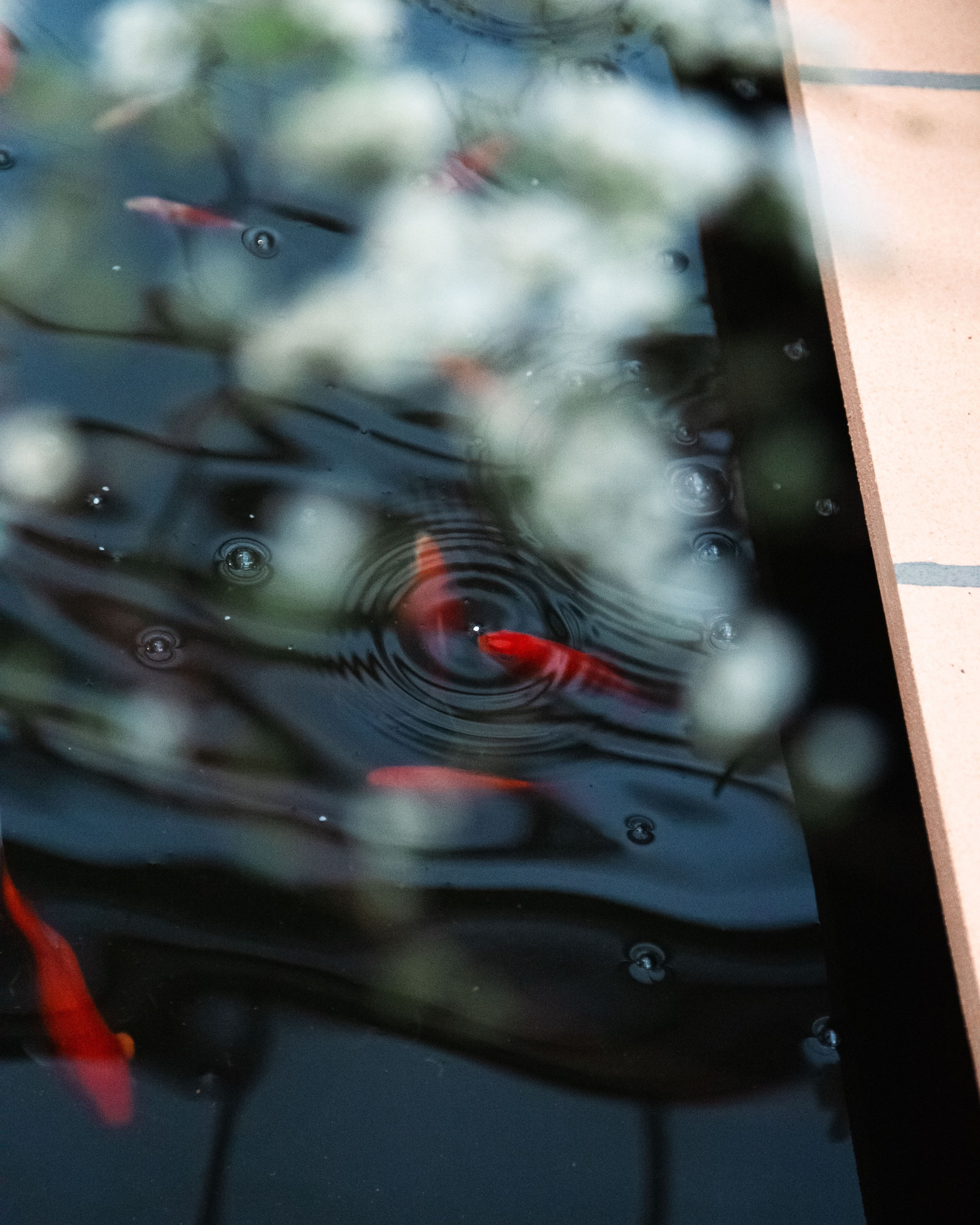 Персидский сад