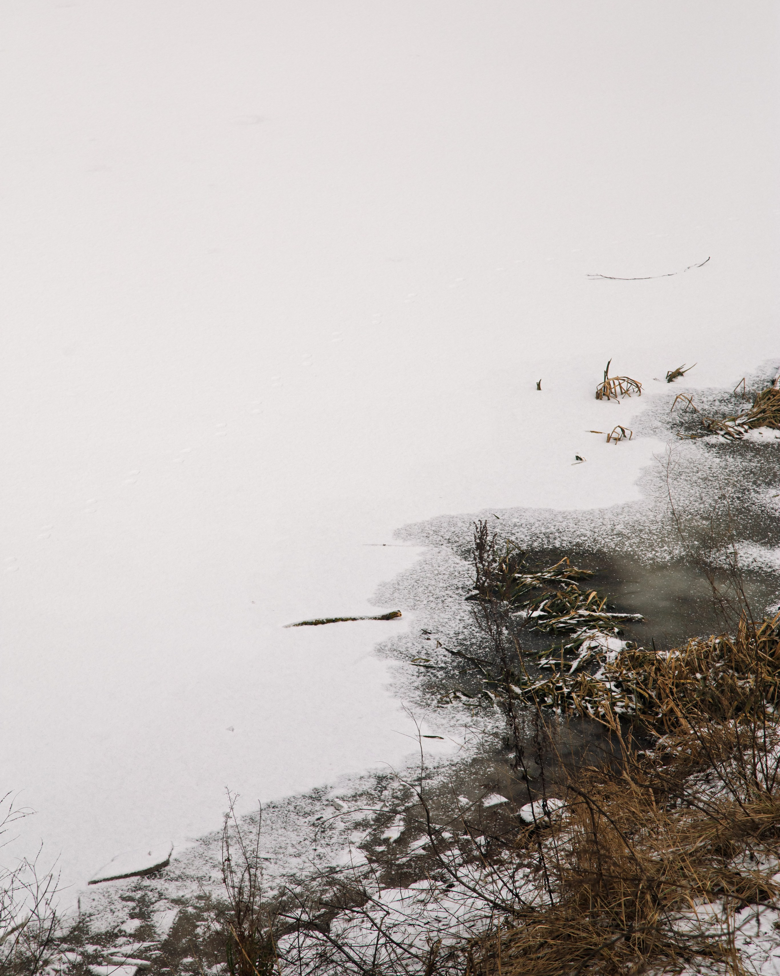 Осенняя зима