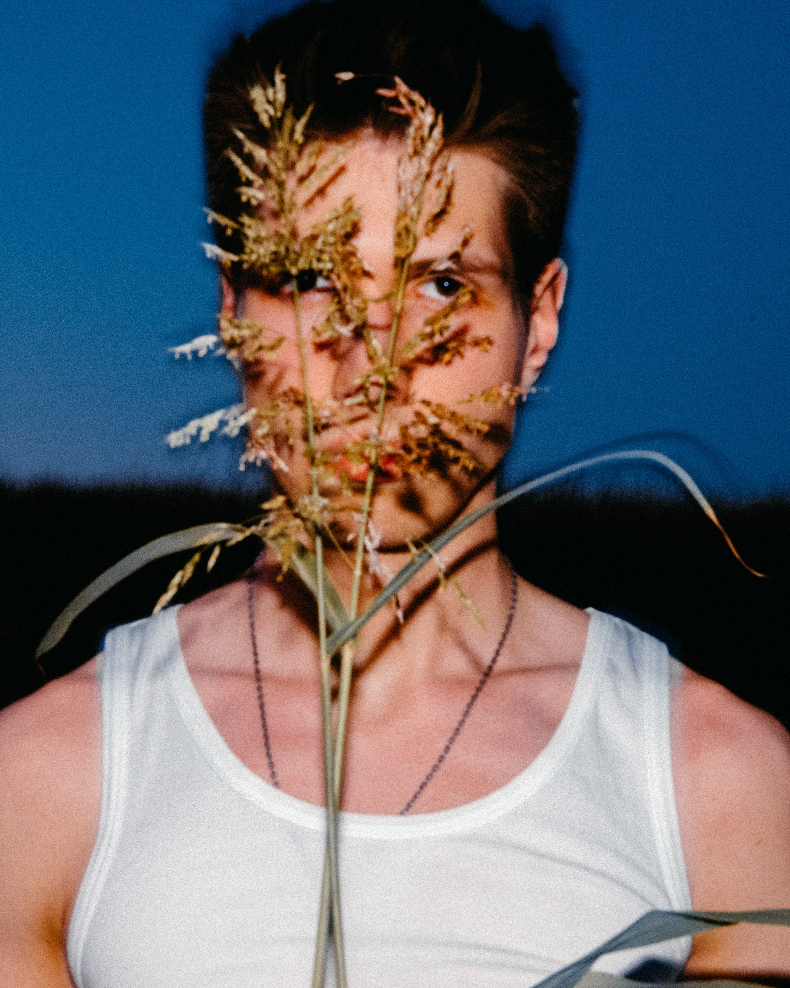 Fedor. Contemporary view