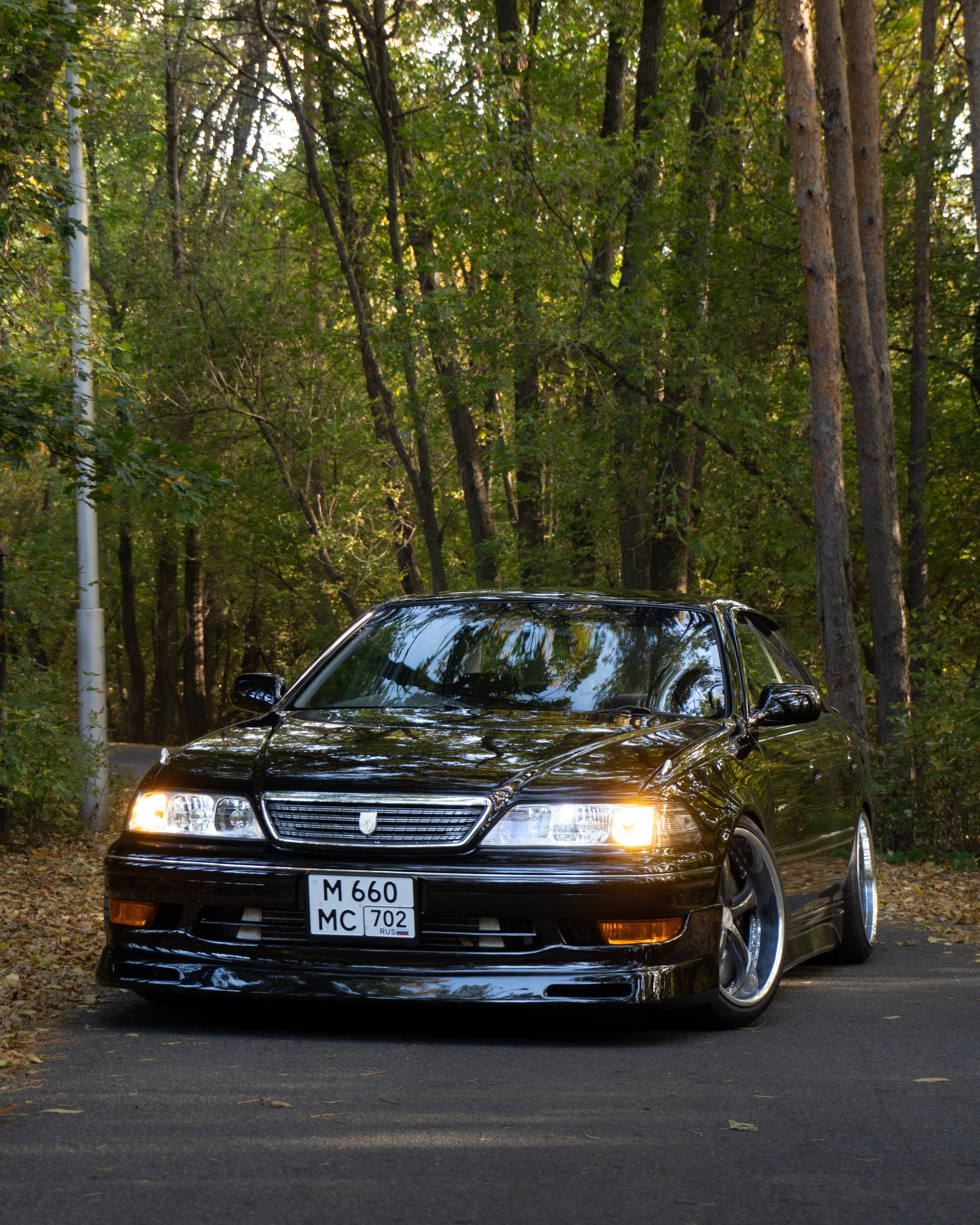 Toyota Mark II «early autumn»