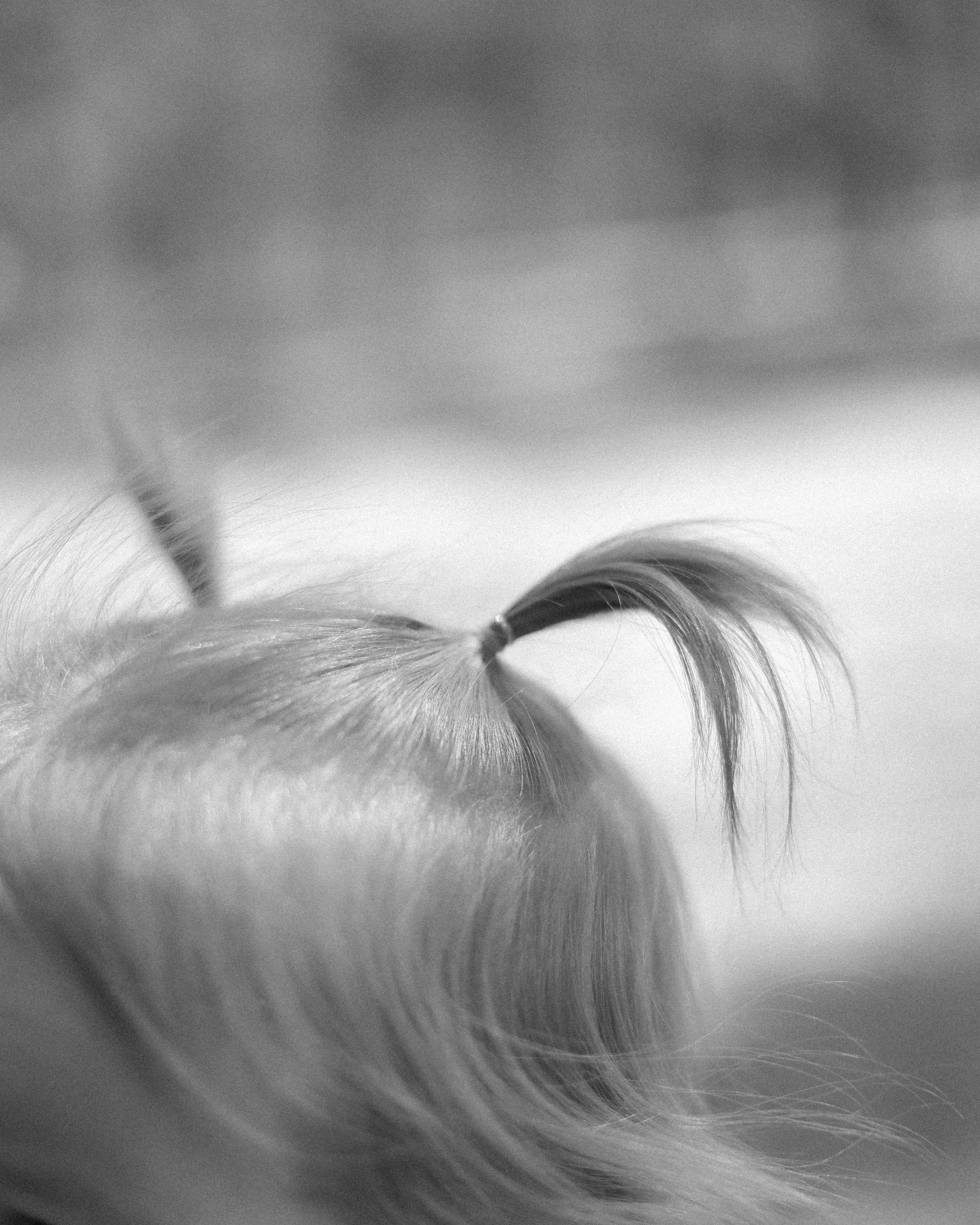 Оля + Андрей = Алиса