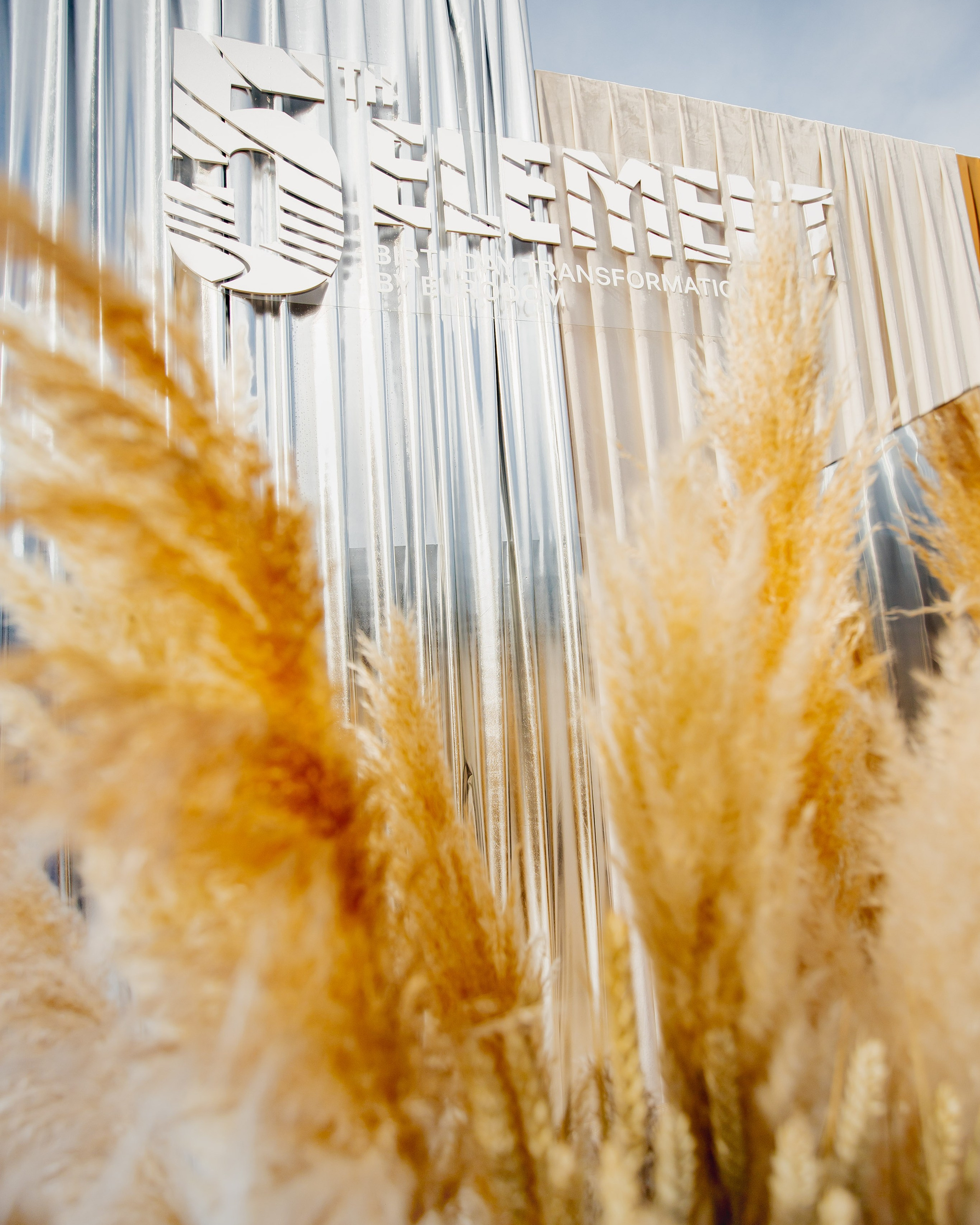 «5-ELEMENT» EURODOM