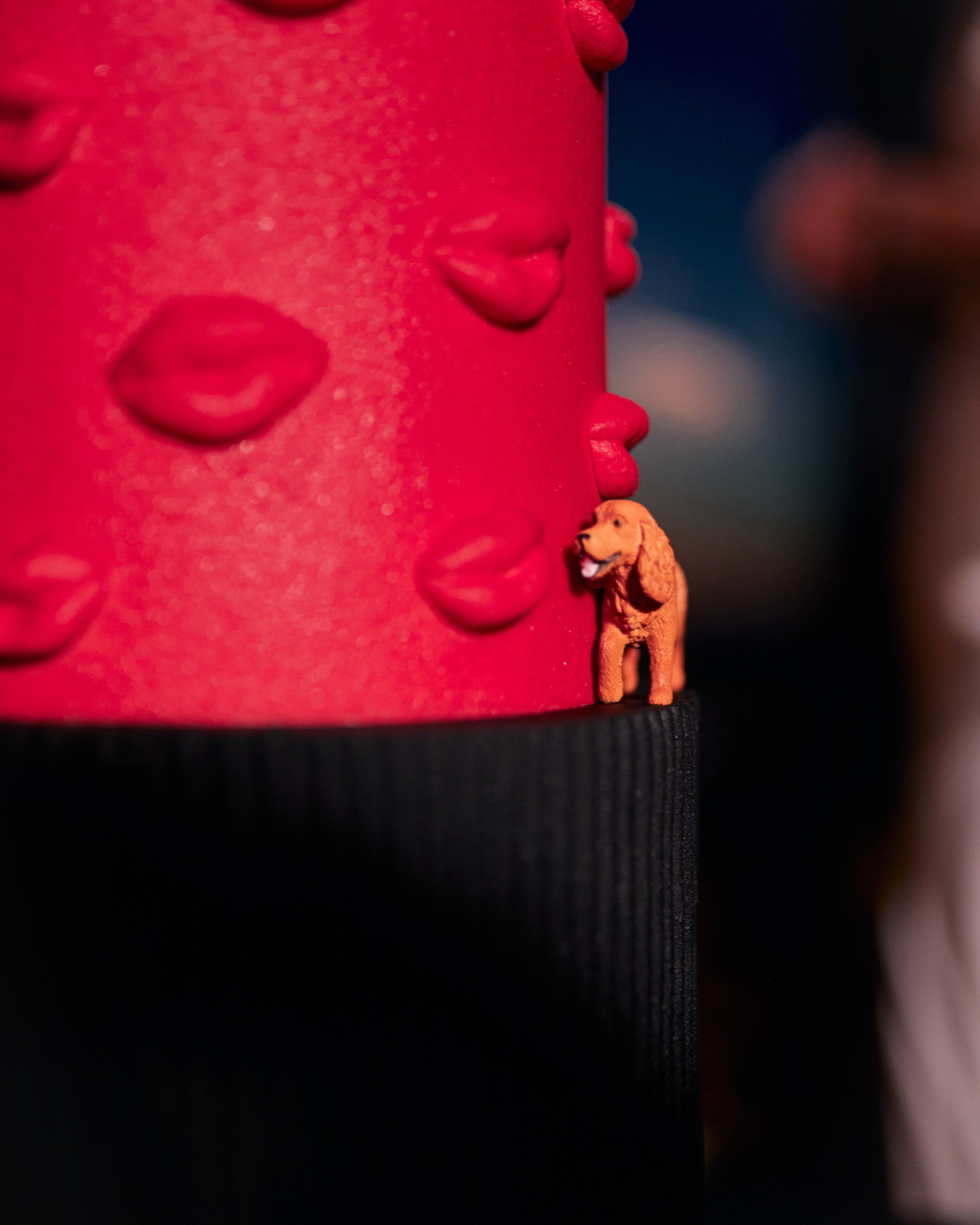 Кирилл и Анастасия