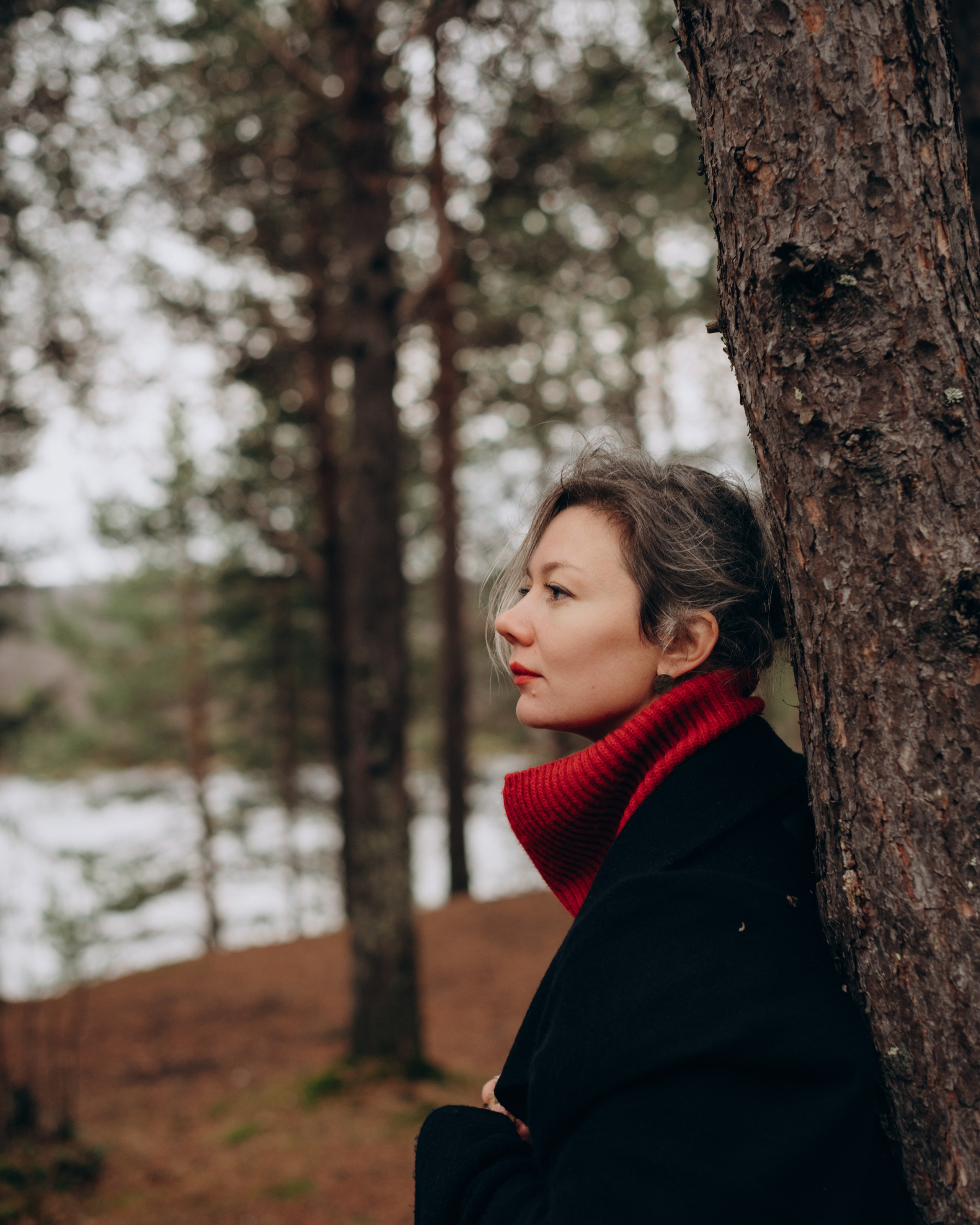 В хвойном лесу