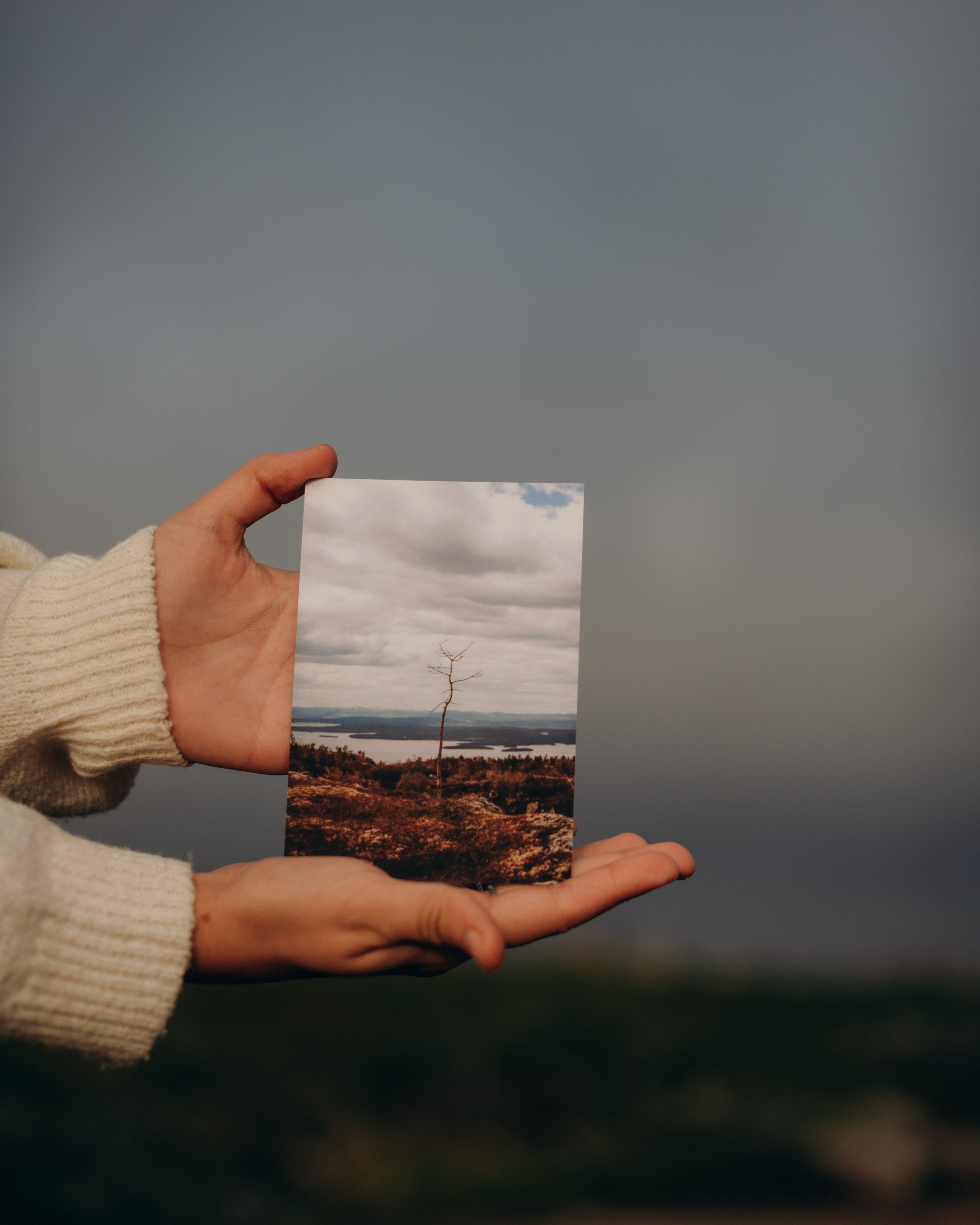 АВТОРСКИЕ ОТКРЫТКИ, 150руб