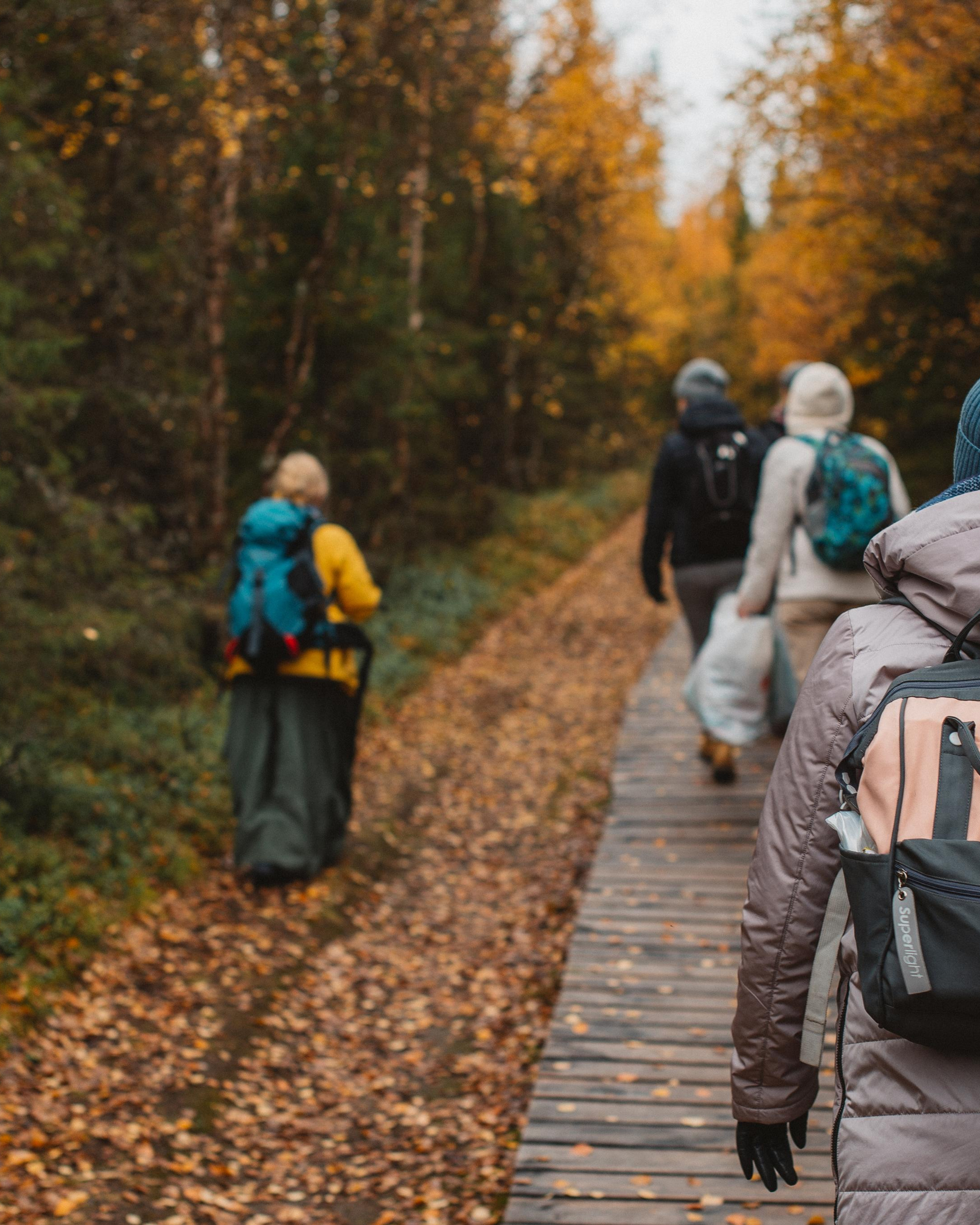 Сейдозеро. Путешествие к Куйве