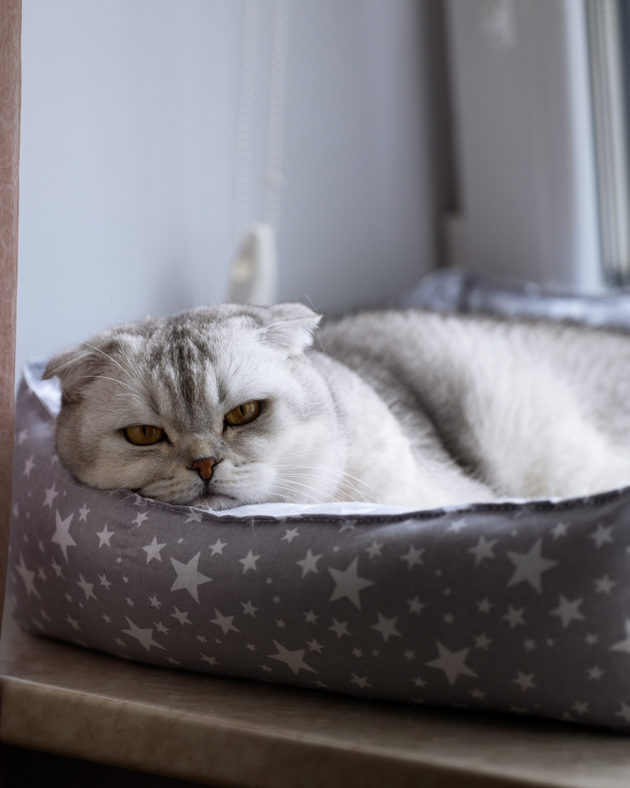 Алексей и Даша