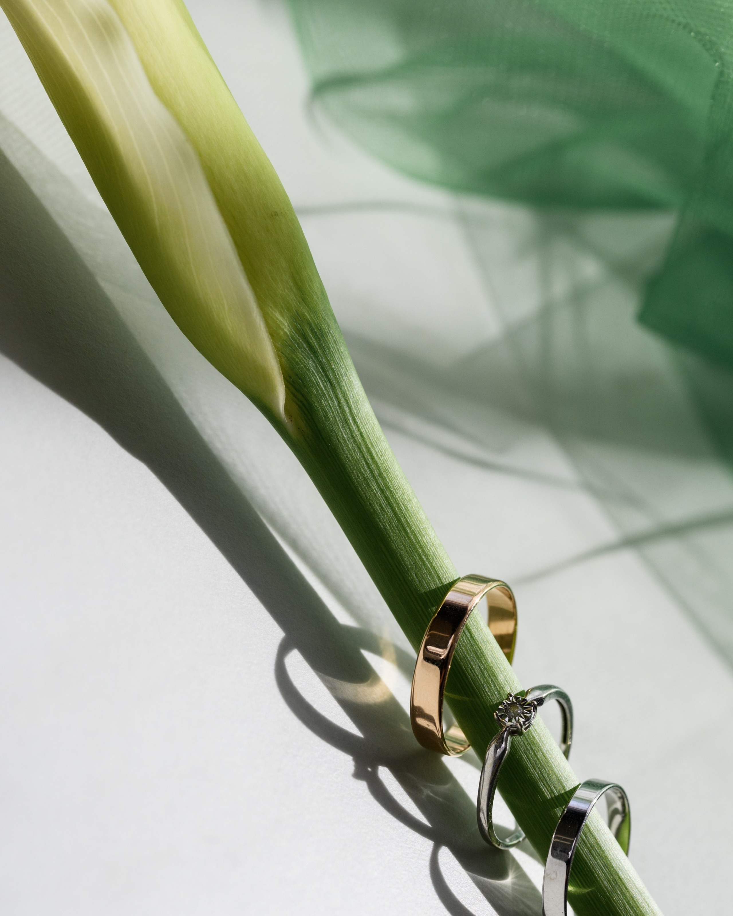 Богдан и Снежана