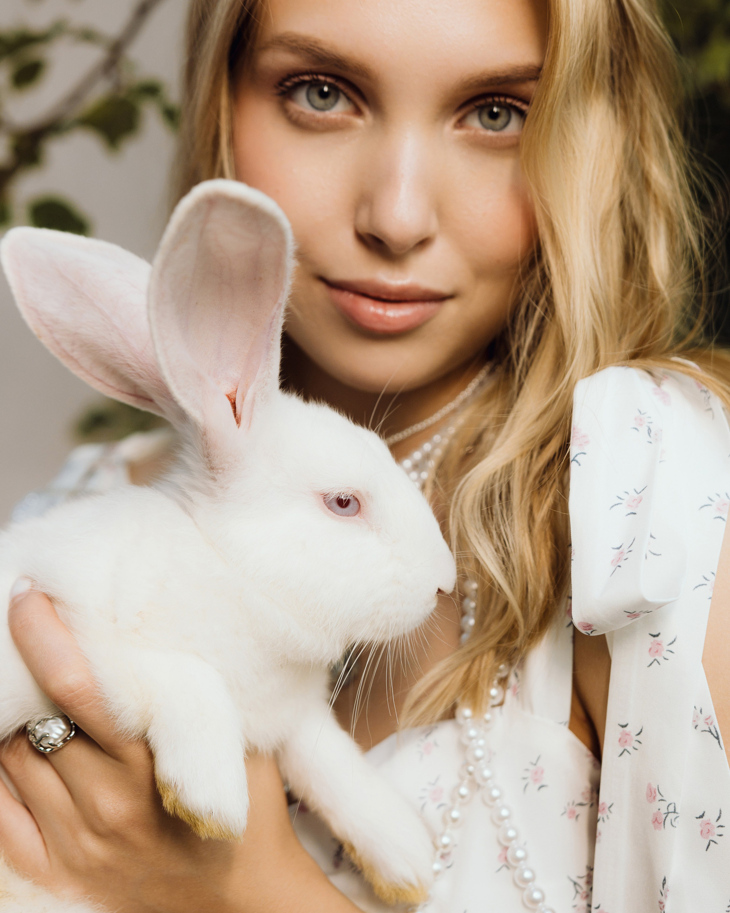 Алиса в стране кроликов