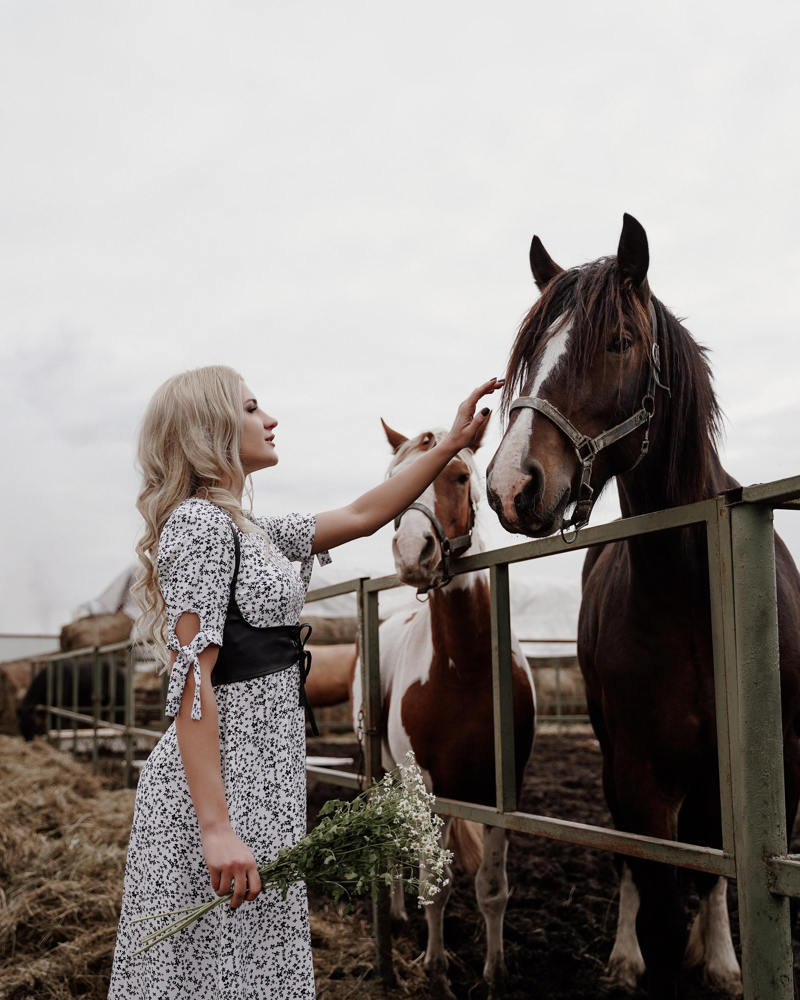 Елена прогулка на лошадях