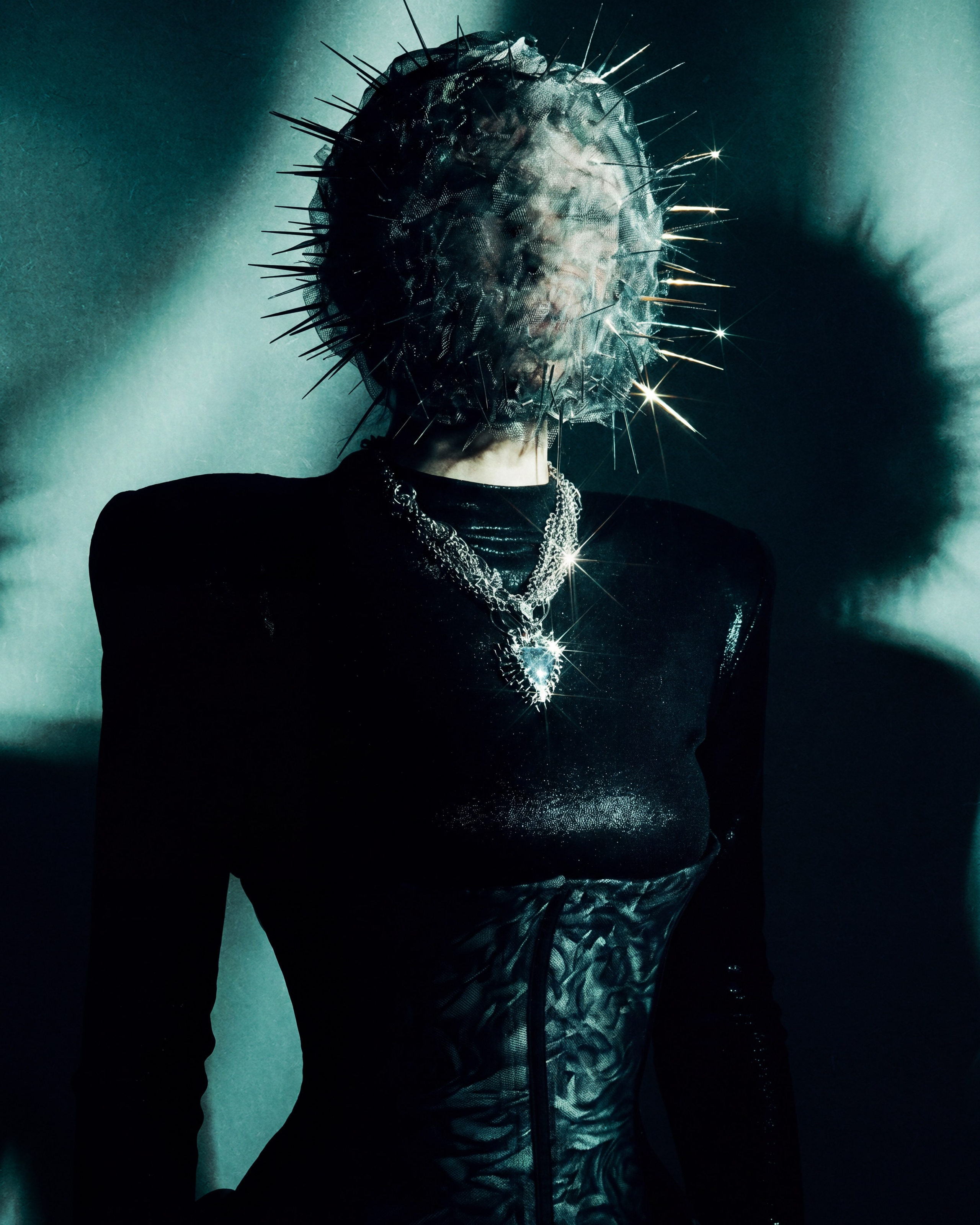 13. Cactus