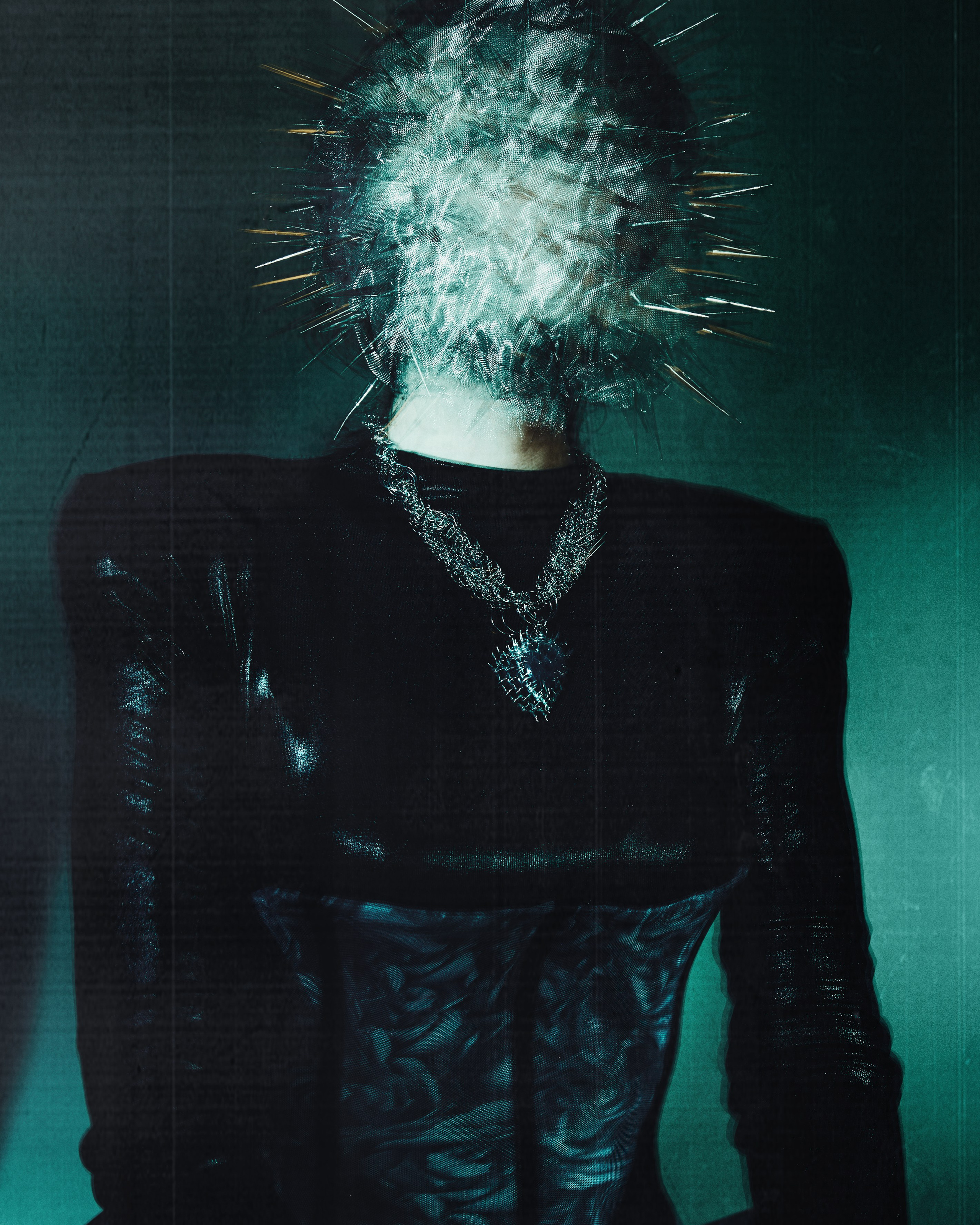 13. Cactus
