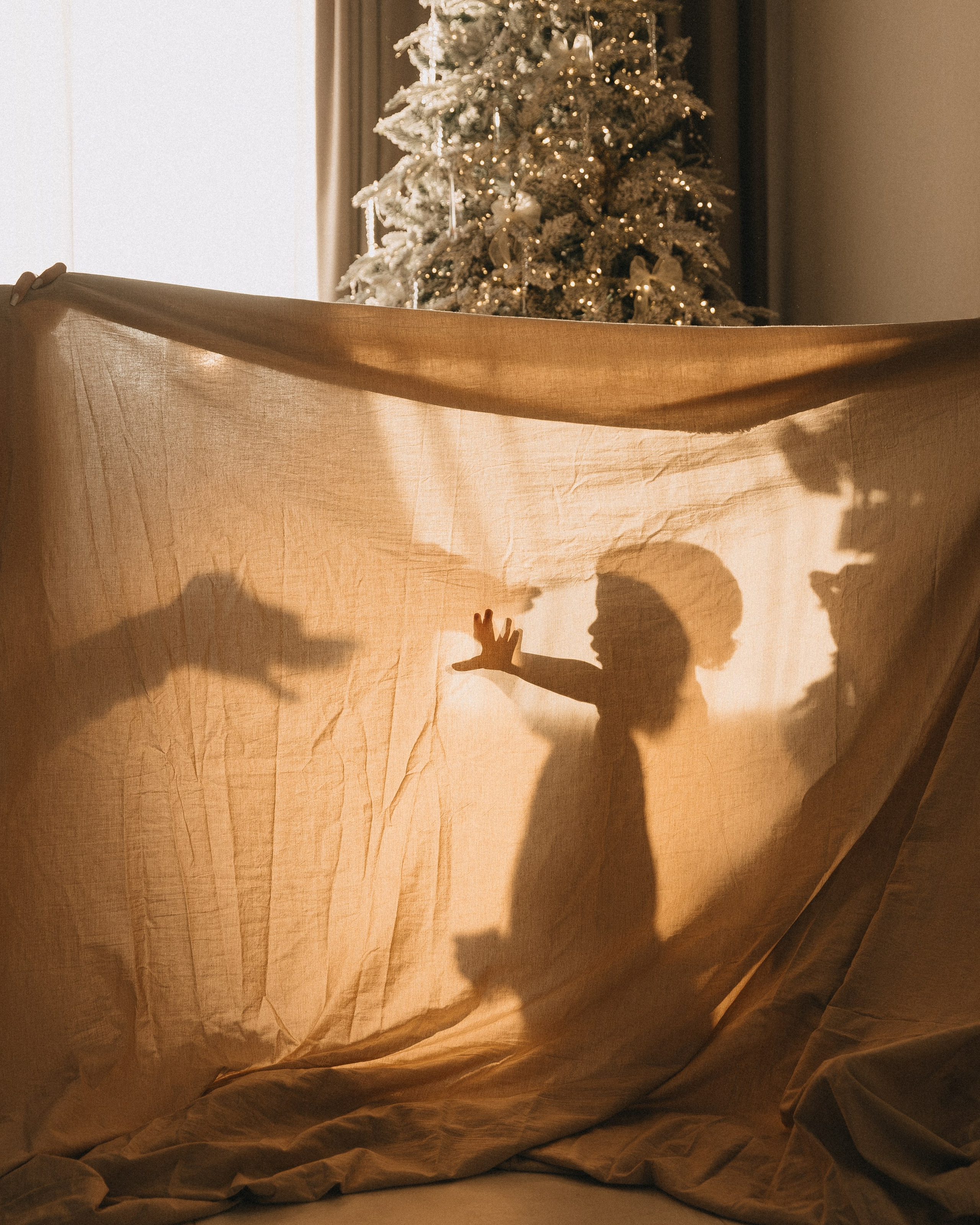 майонезная семья