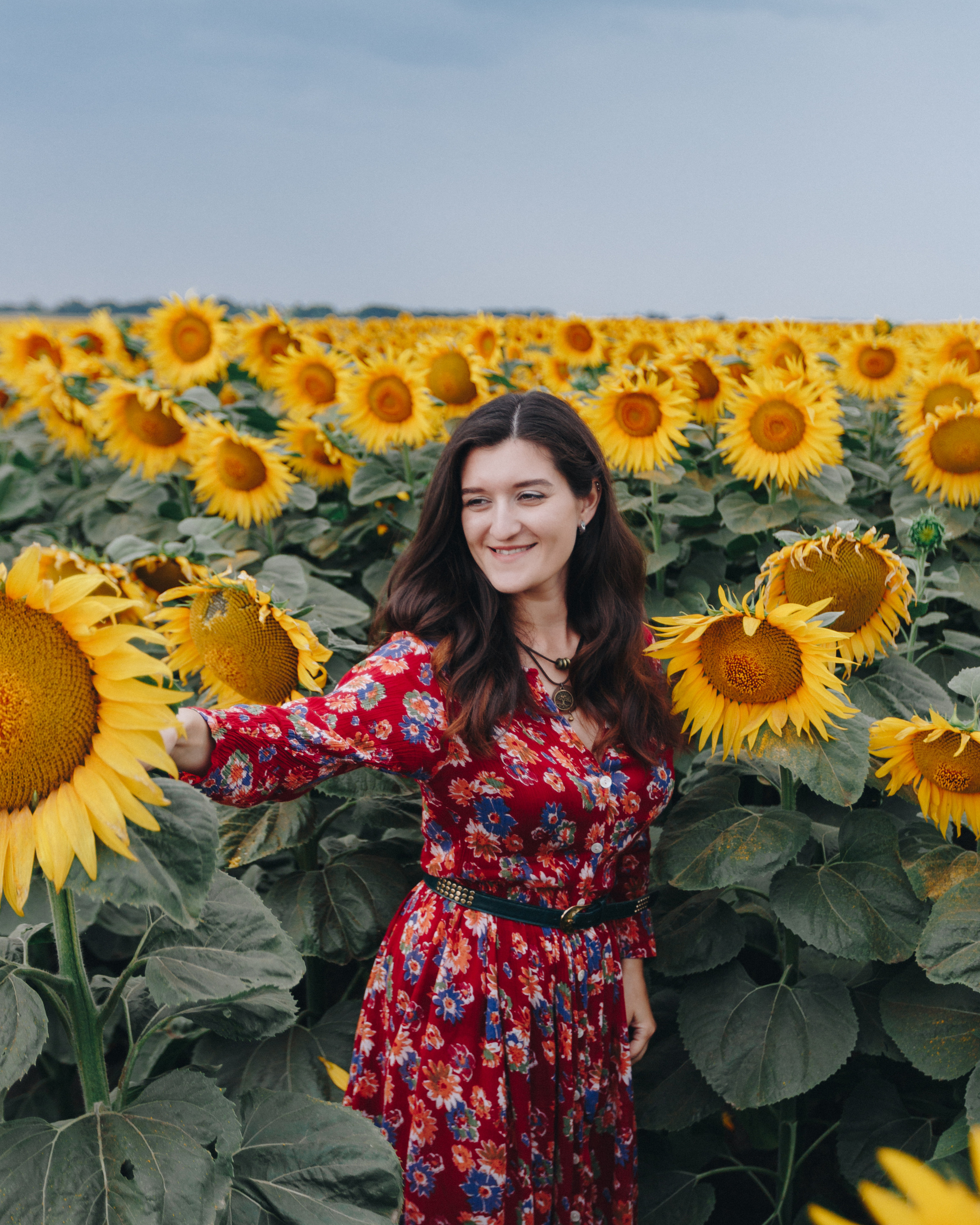 Подсолнухи