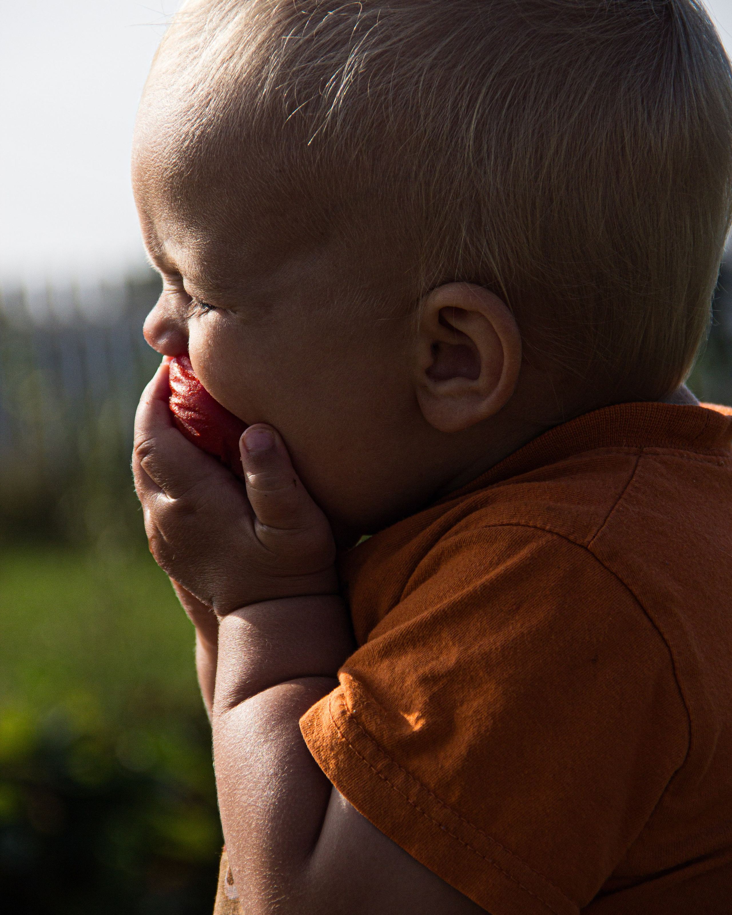 Portrait: Tomato Delight 🍅