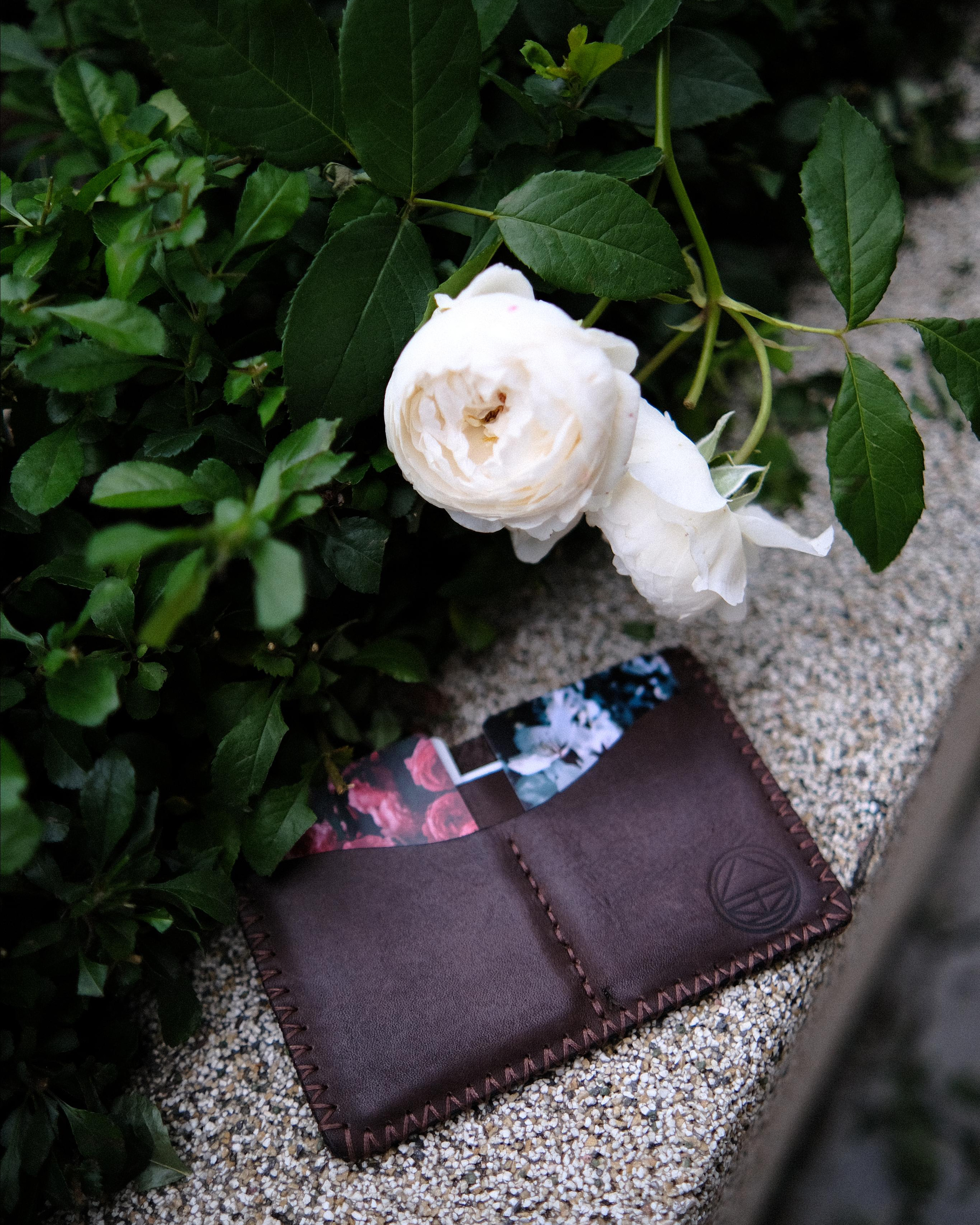 Докхолдеры