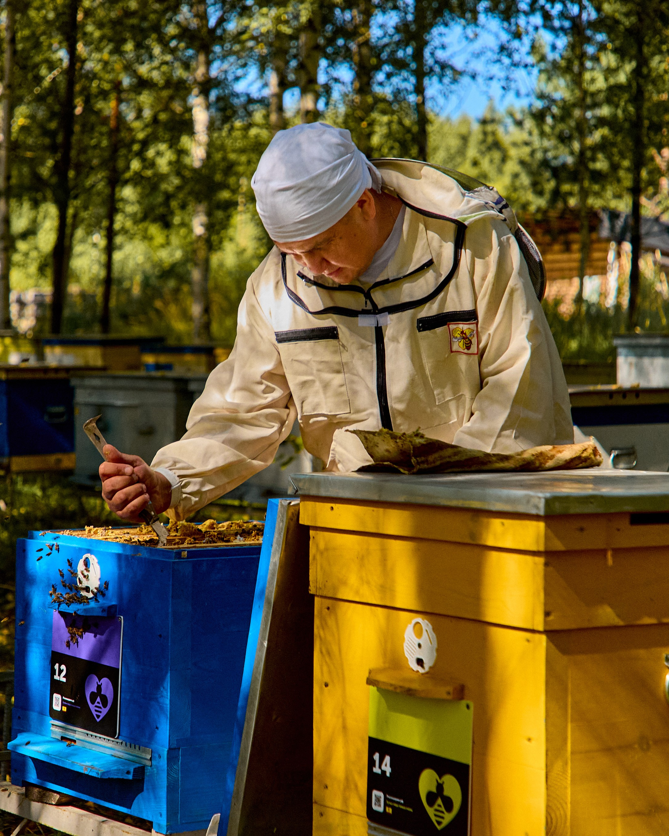 Пчелошеринг х пасека в г. Чебоксары