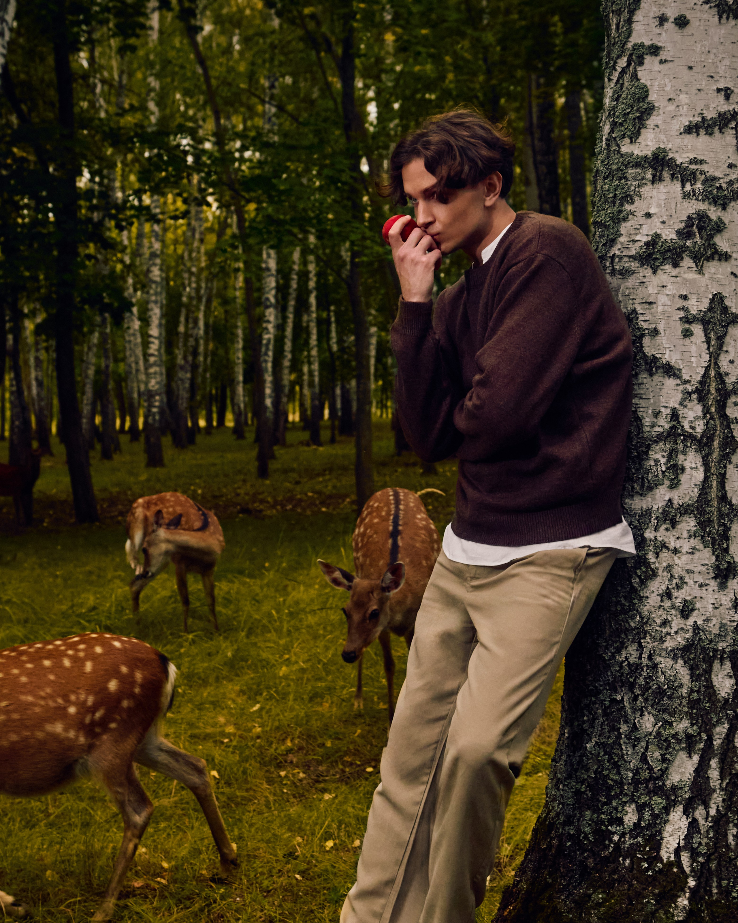 Собрано в саду