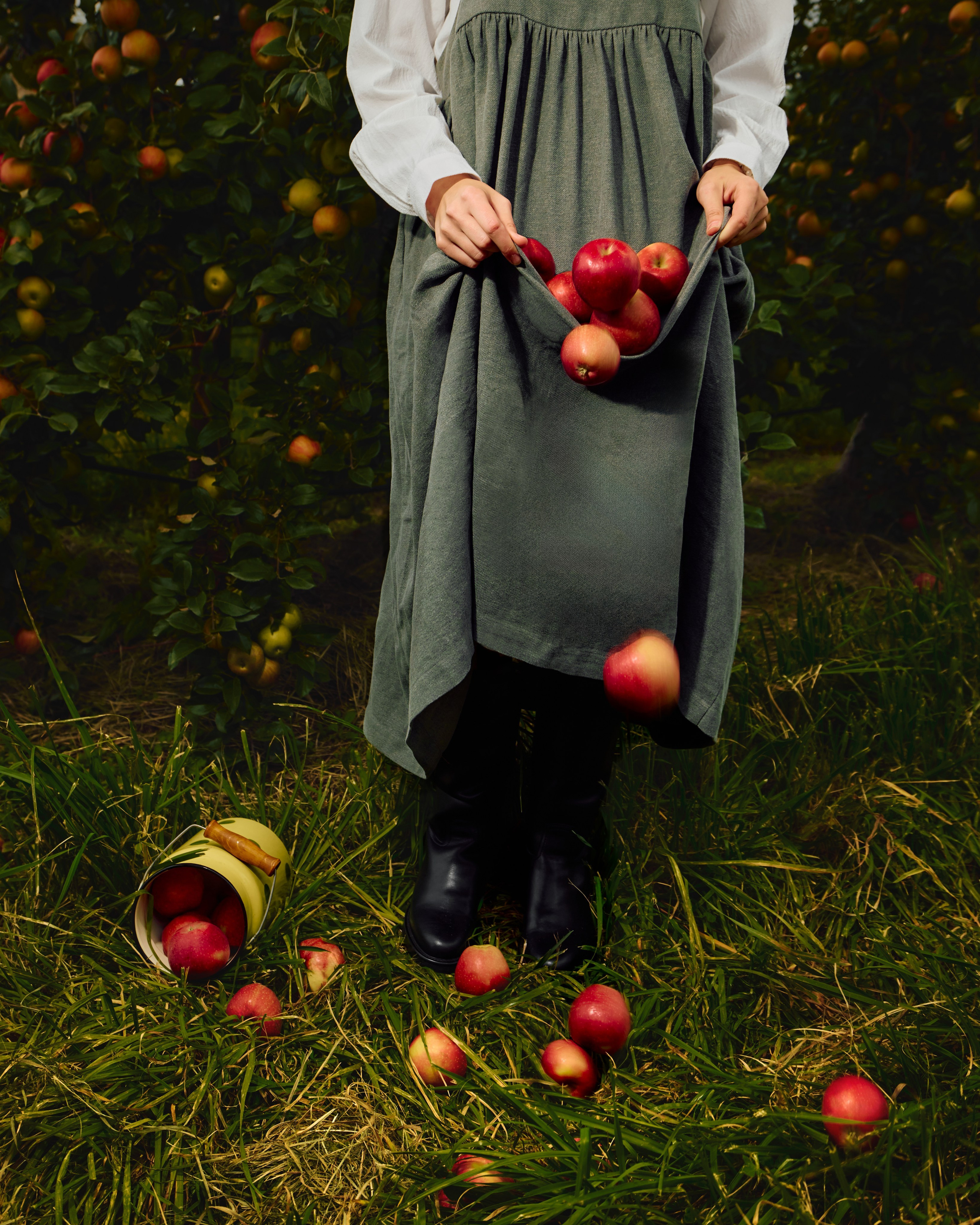 Собрано в саду