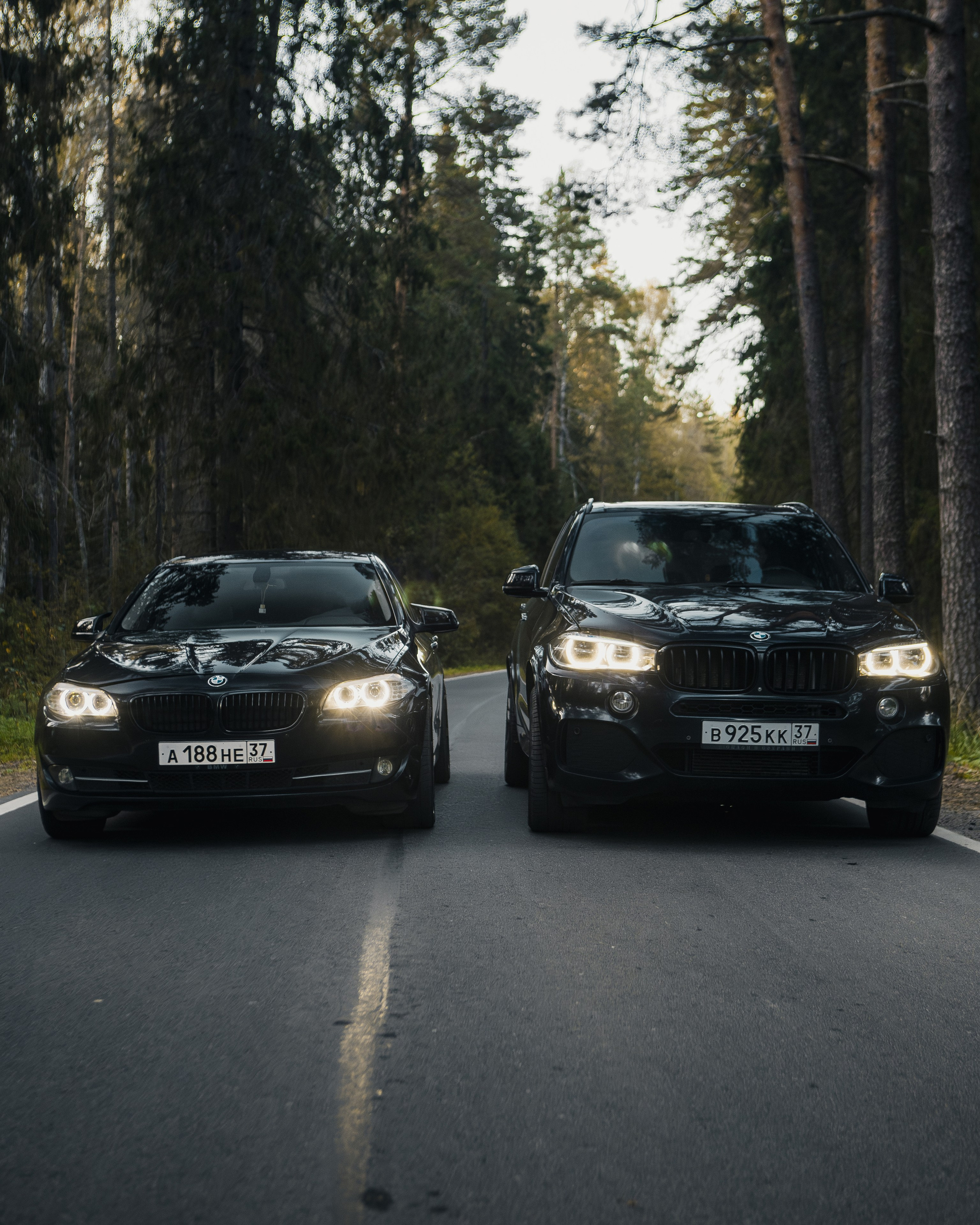 BMW 5 + BMW X5