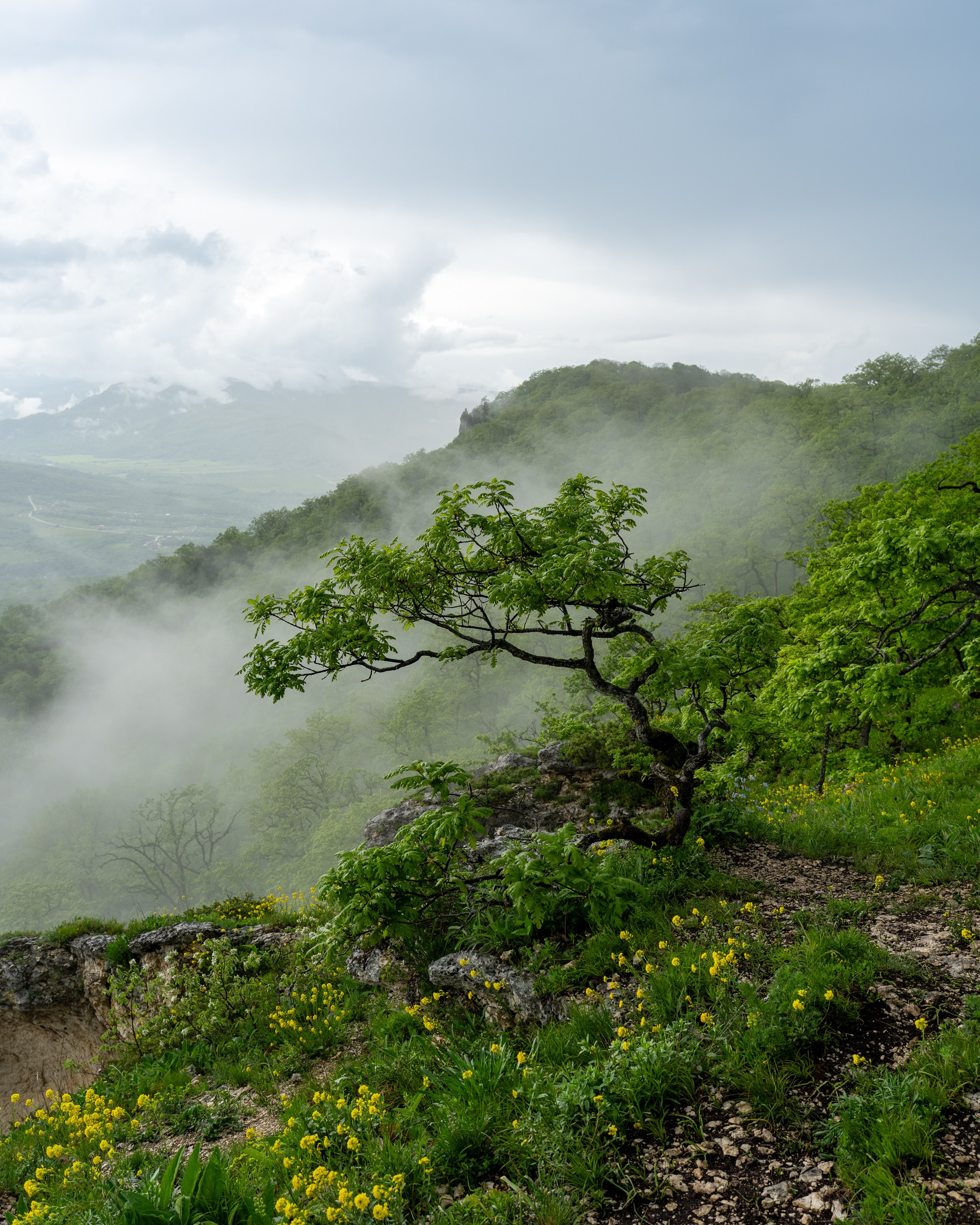 Каменномостский