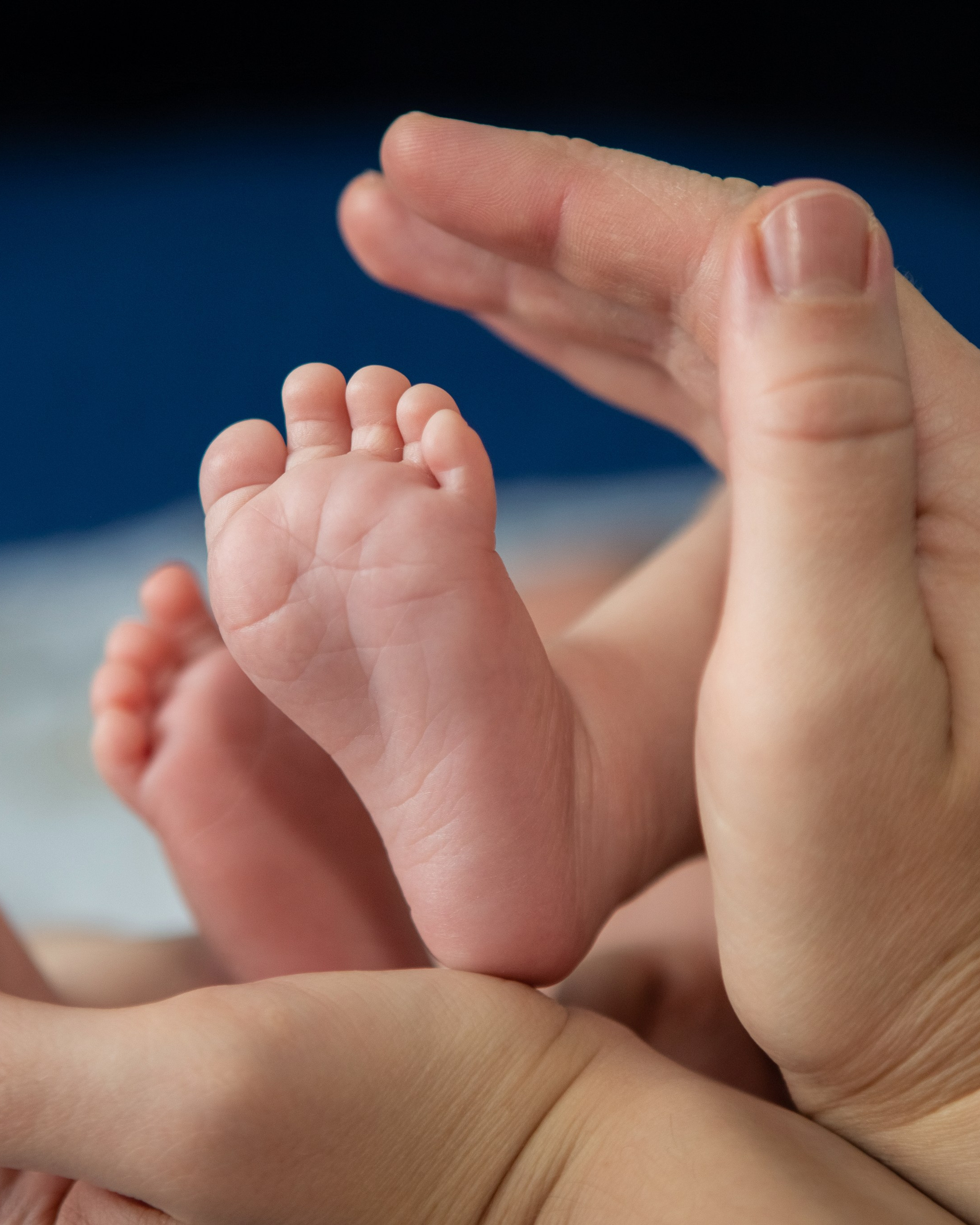 Арсюша — домашняя съемка