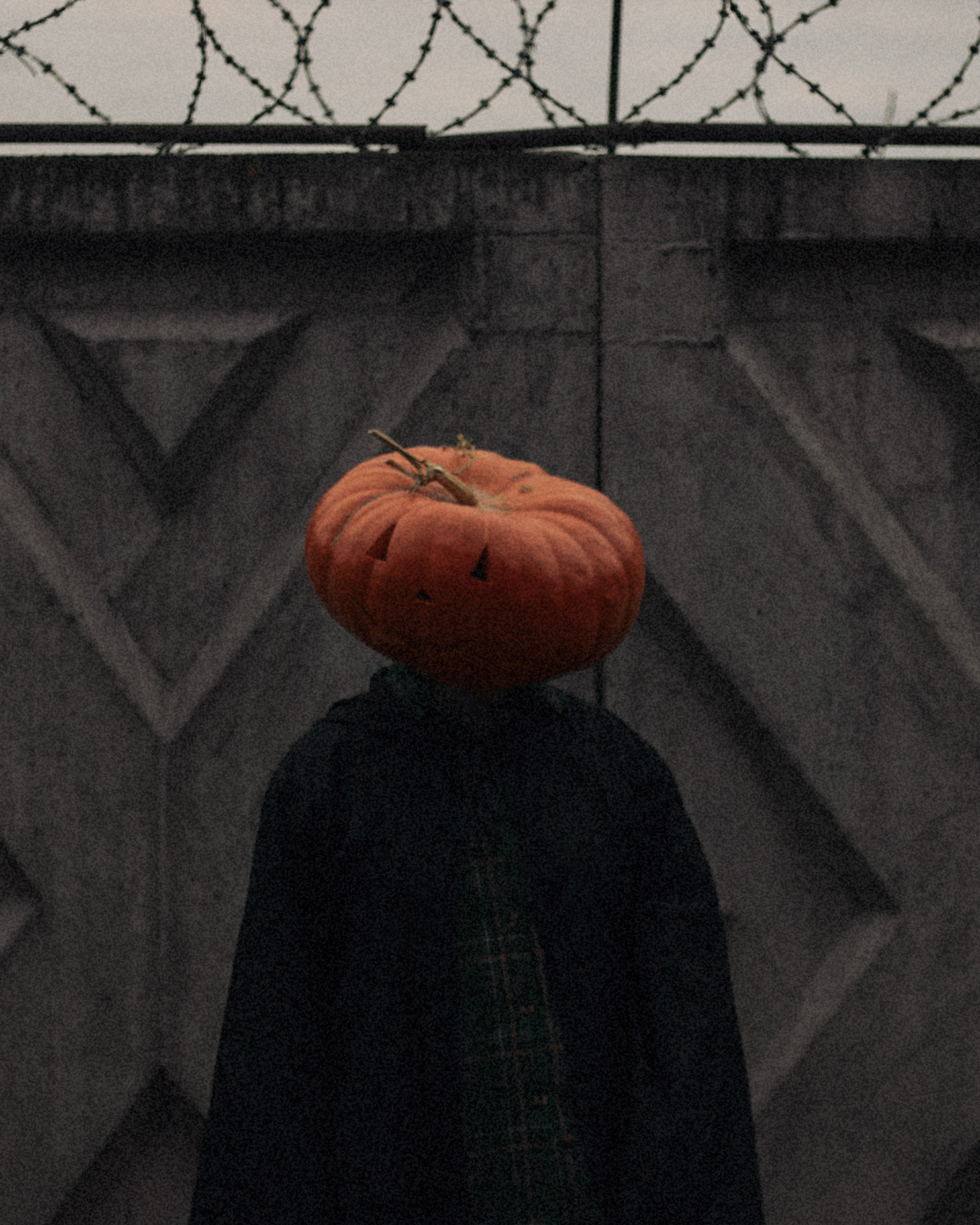 Проект «тыквоголовые»