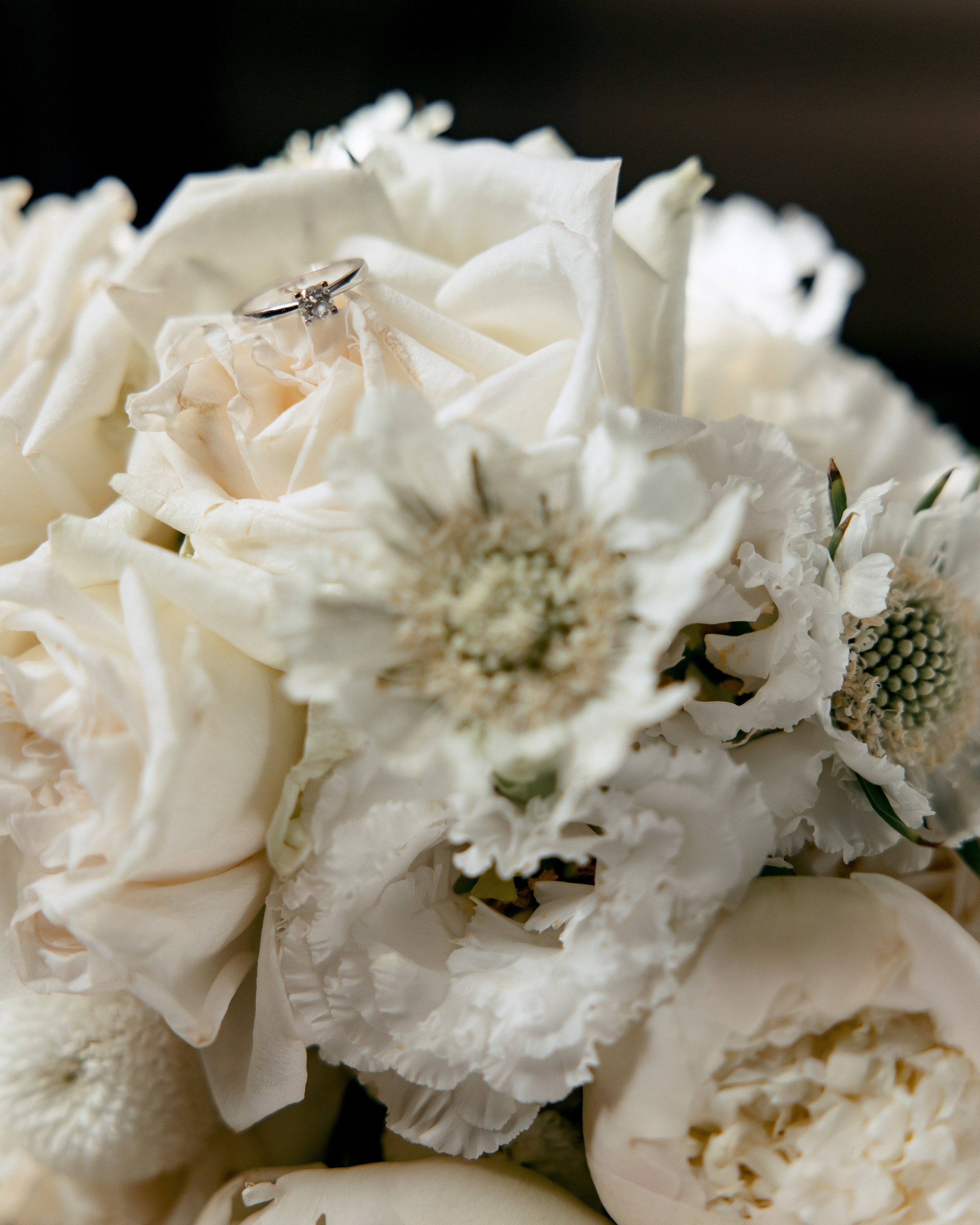 Александр и Елизавета