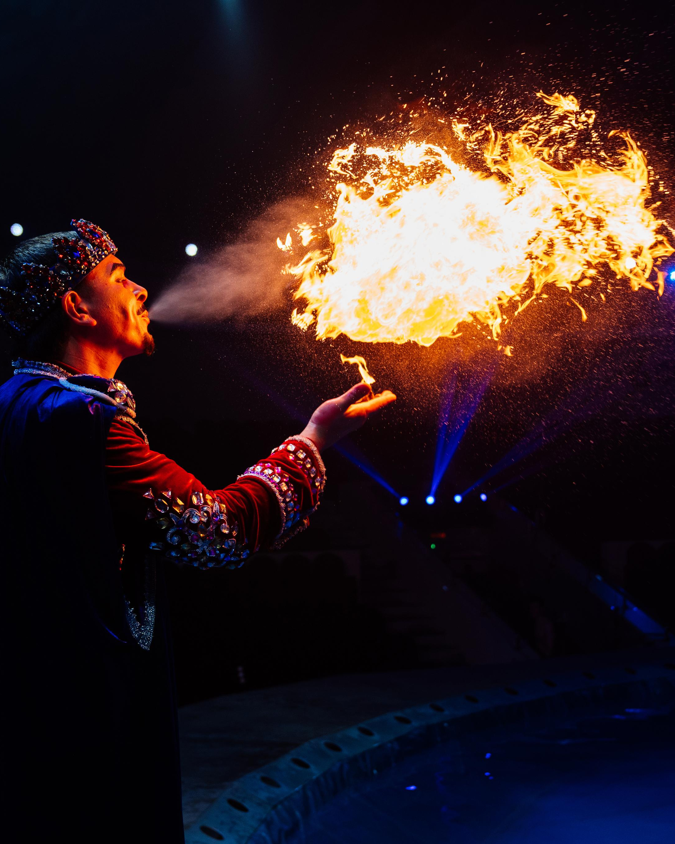 «Цирк на Воде» Шевченко-Шоу