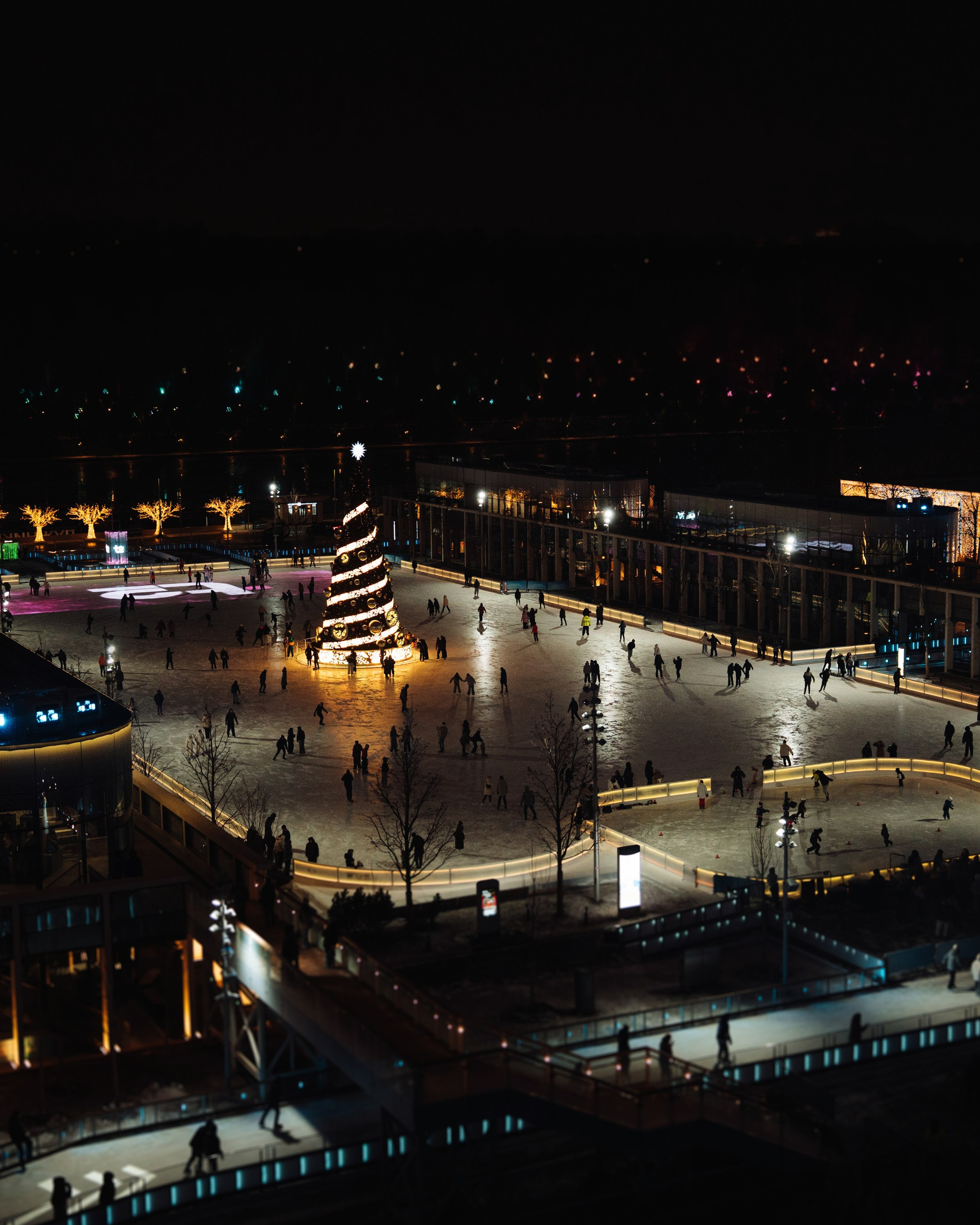 Каток Лужники