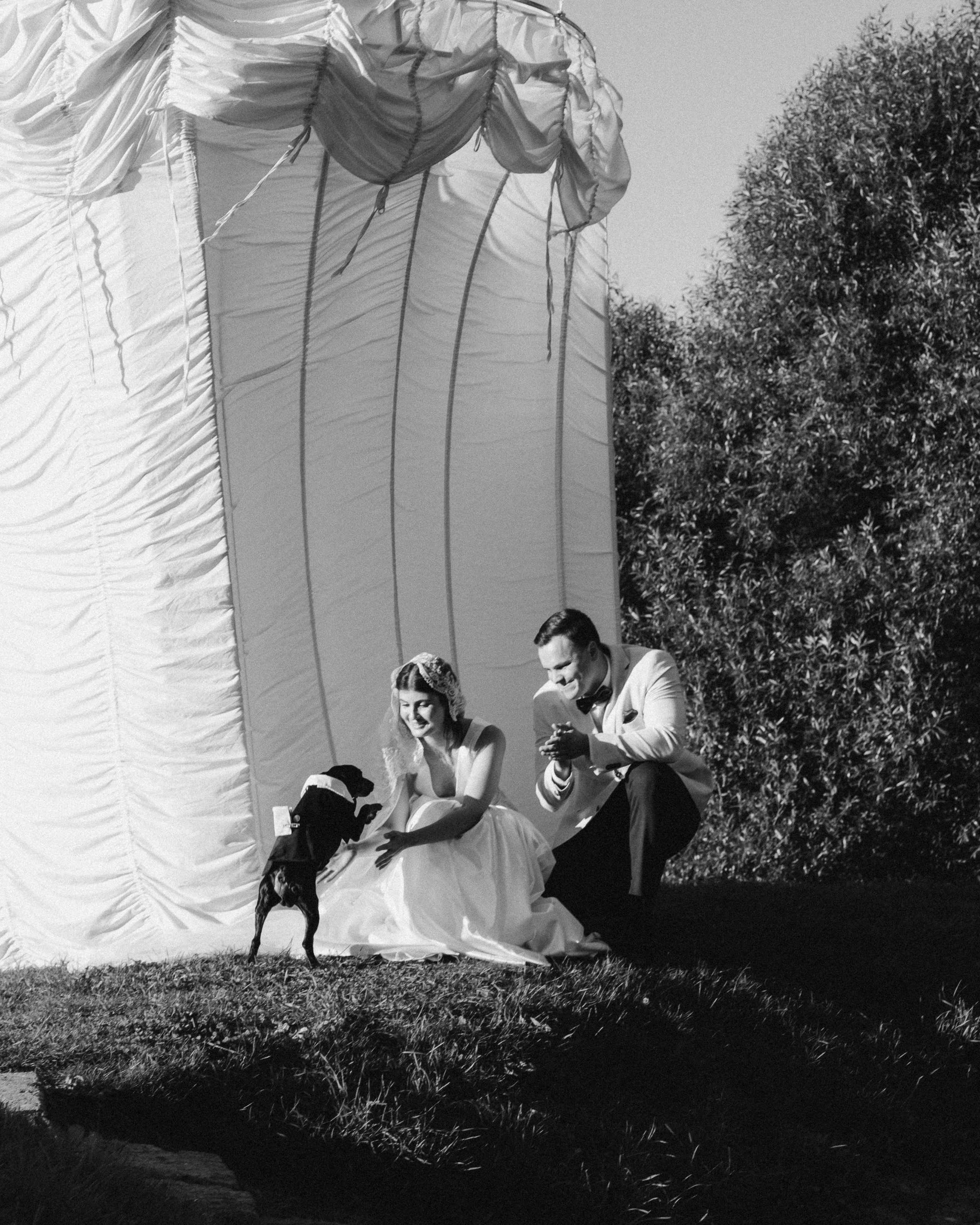 Свадьба в замке