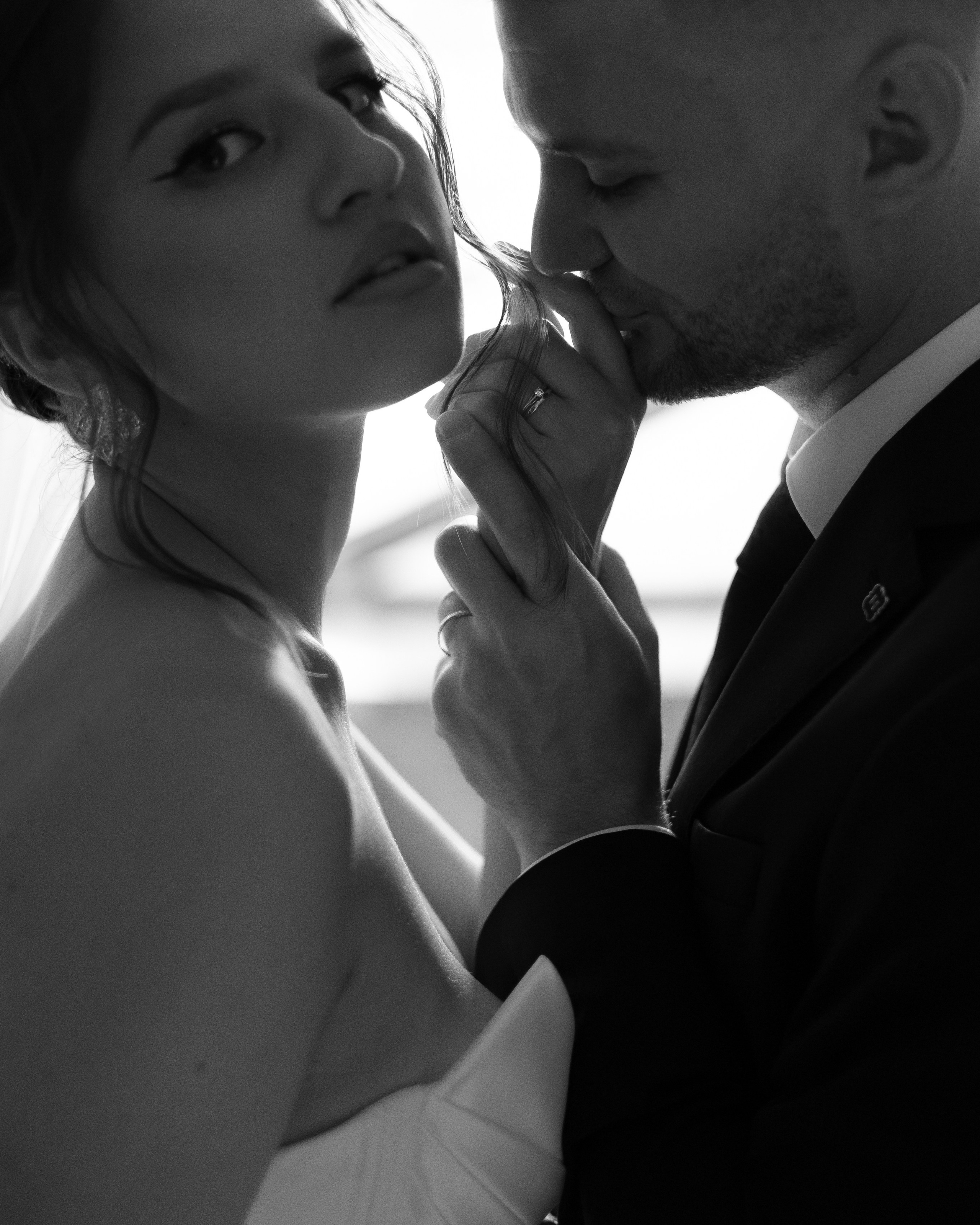 серая кошка и рыжий кот