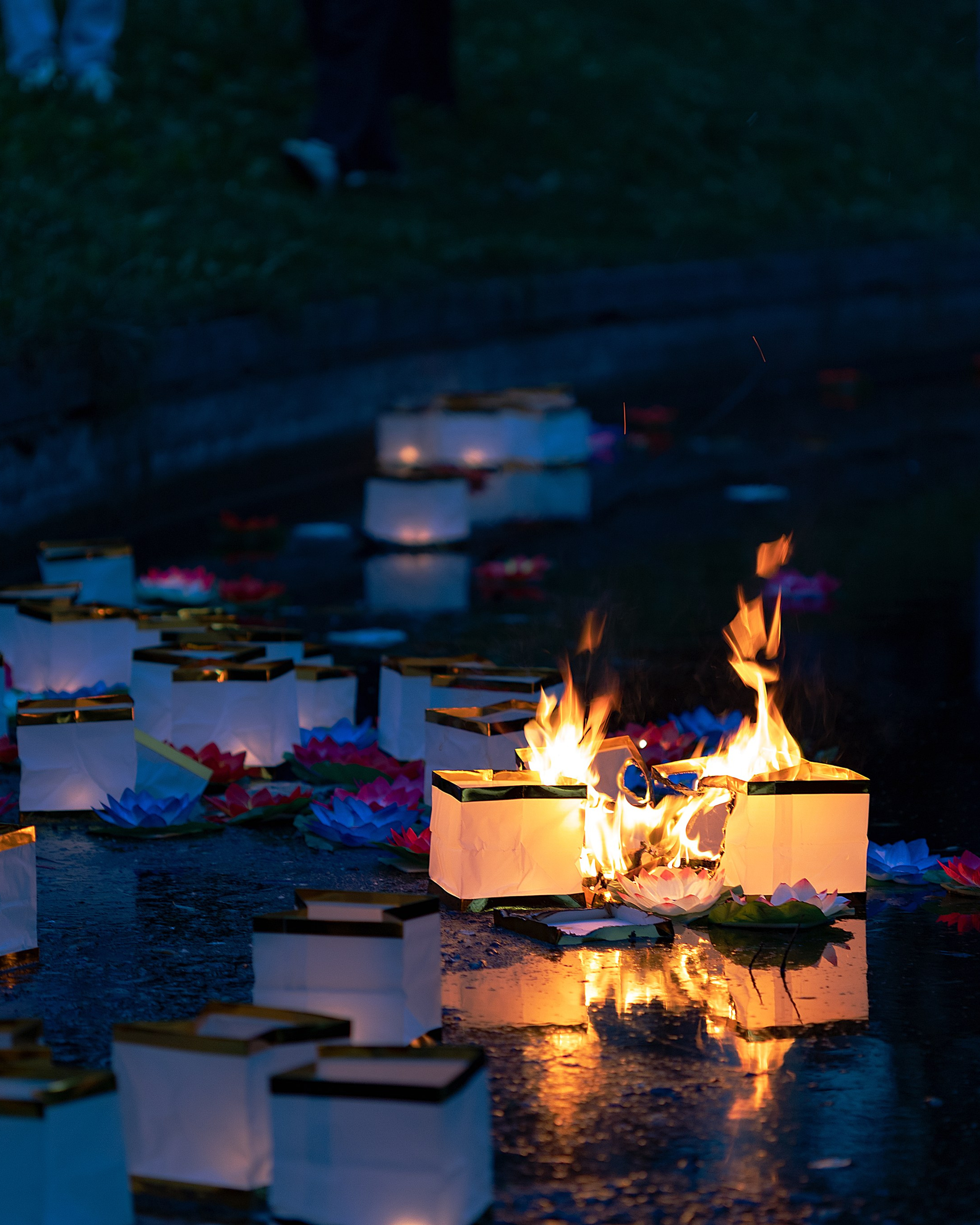 Dream Fest | Санкт-Петербург, 2025