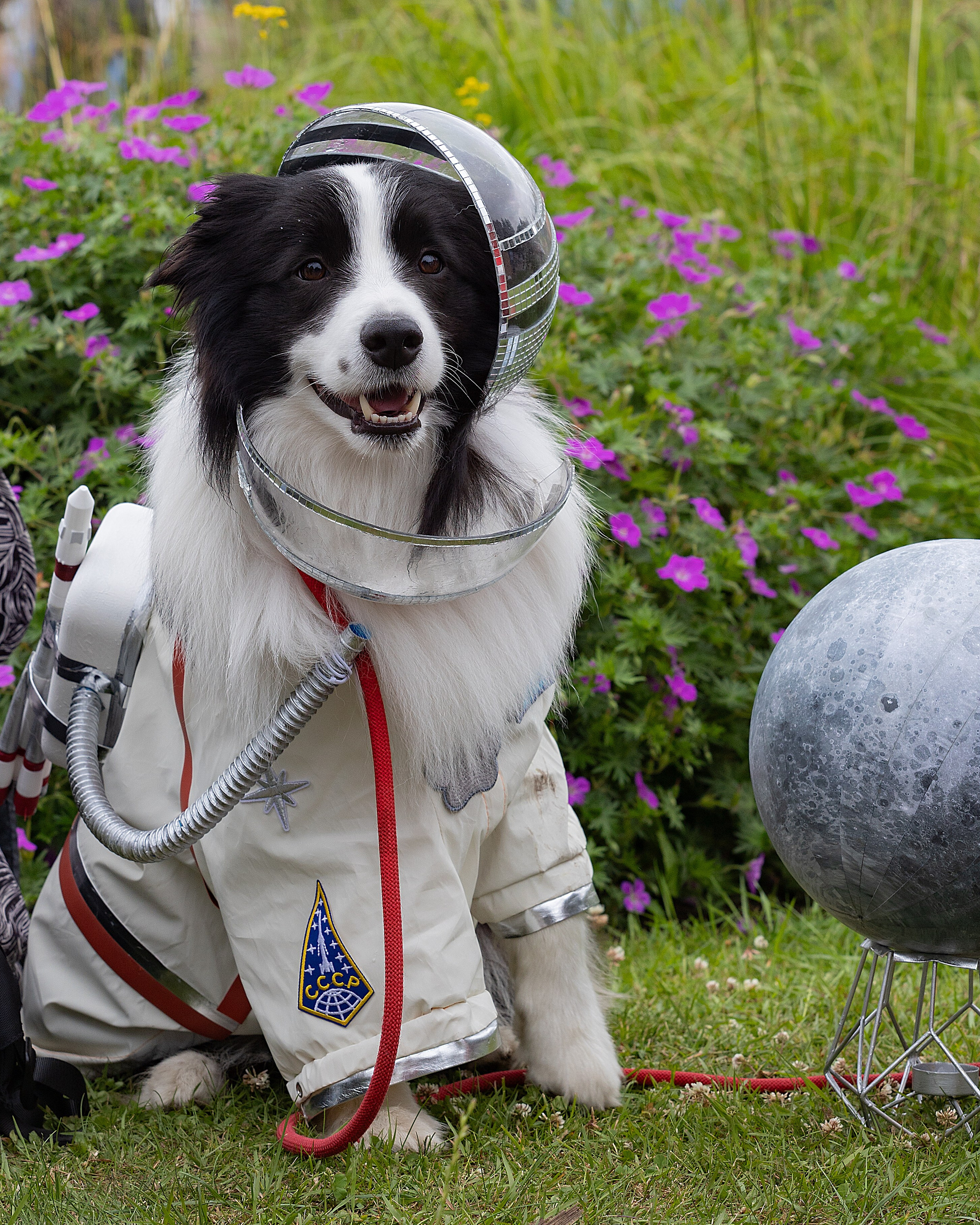 Petshop Days| Санкт-Петербург, 2026